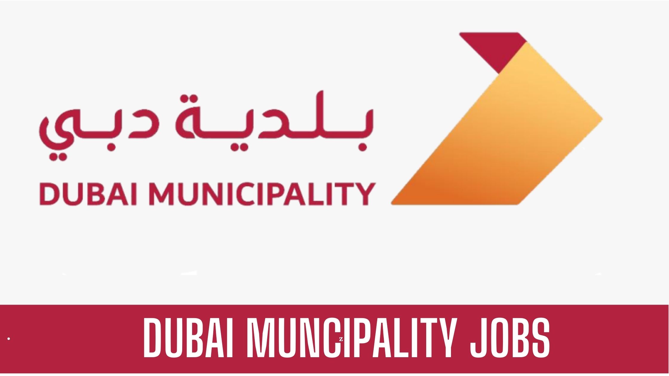 Dubai municipality job