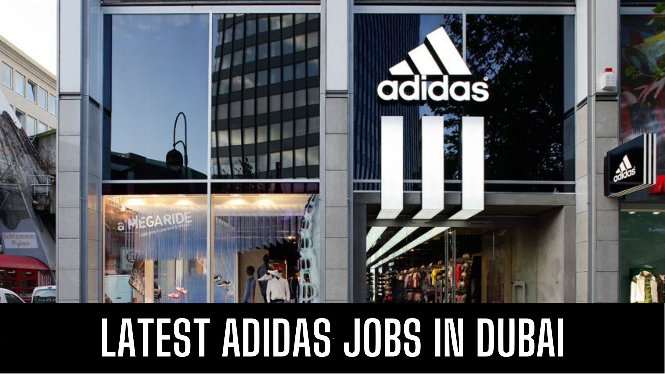 ADIDAS JOB