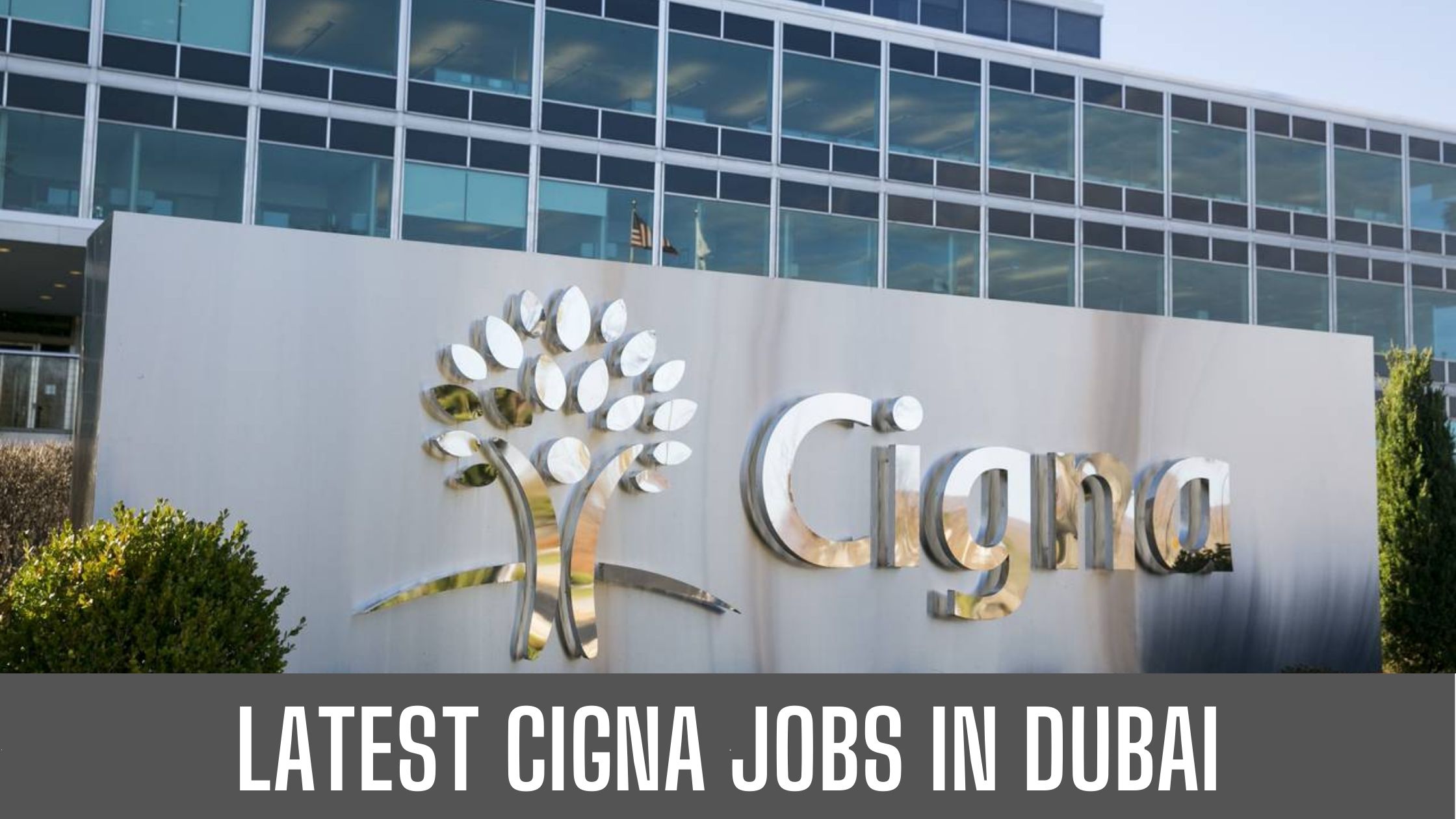 CIGNA JOB