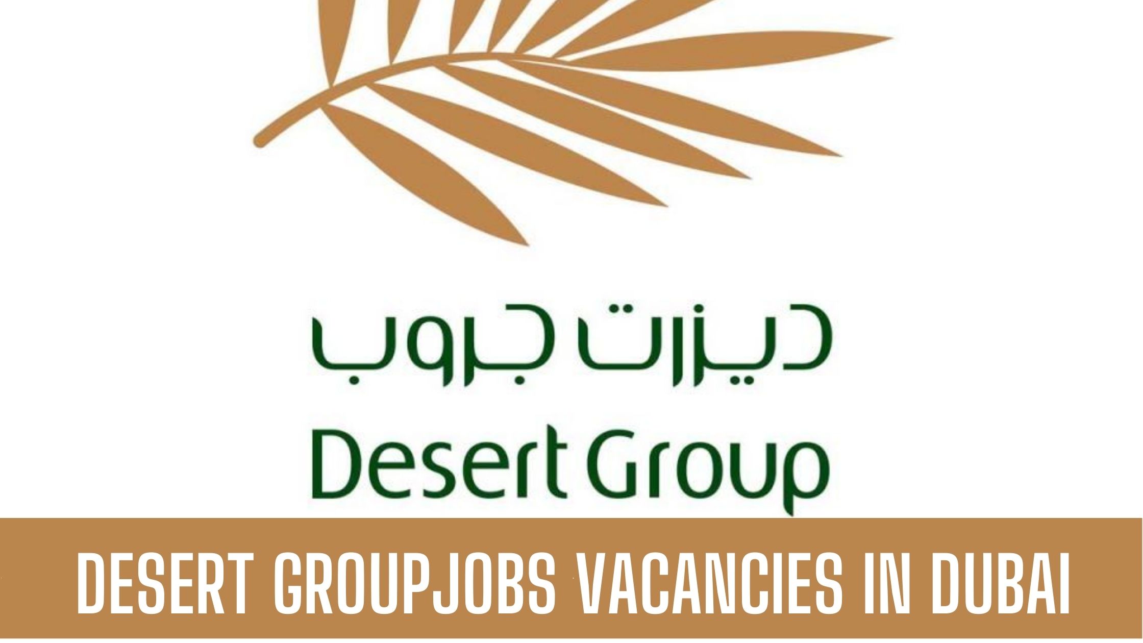 DESERT GROUP JOB