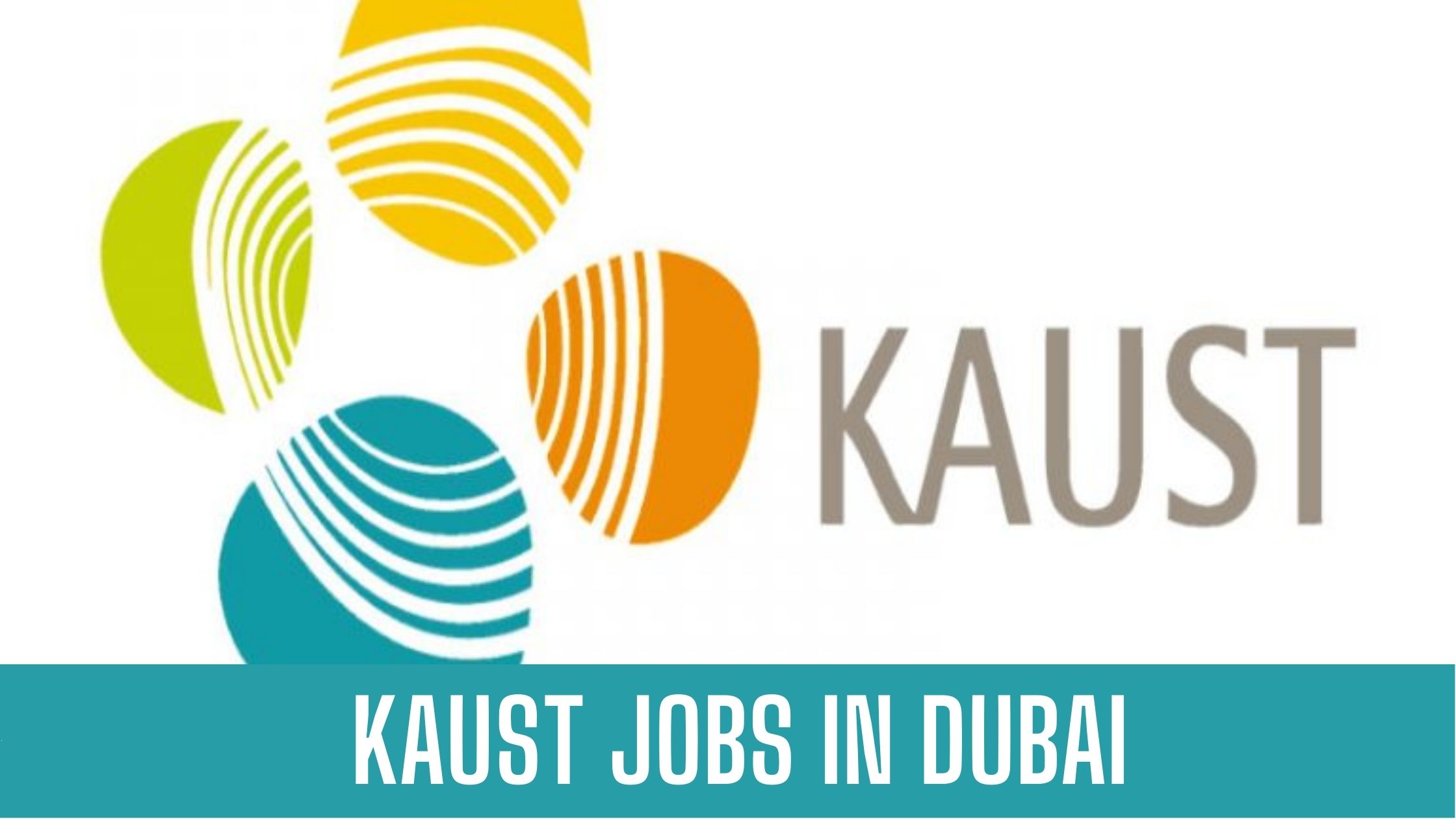 KAUST JOB