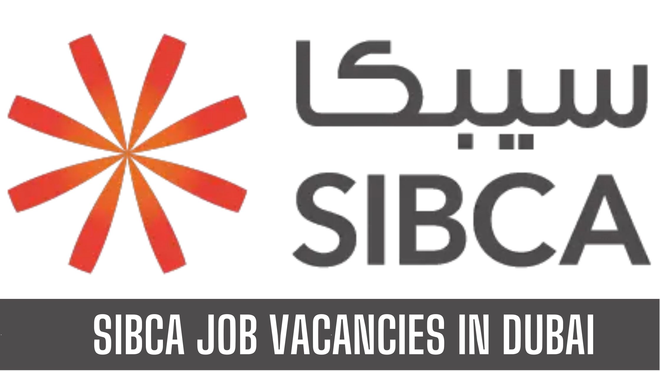 SIBCA JOB