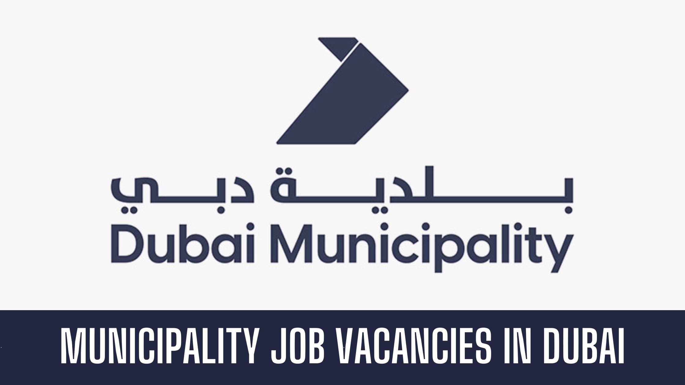 dubai muncipality job