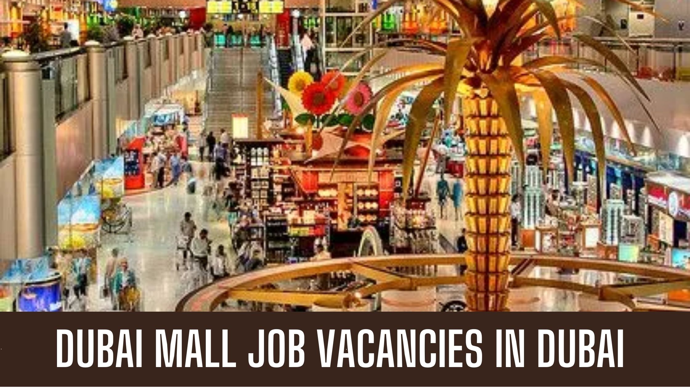 Dubai Airport Jobs 2023 With Latest Opportunities Announced