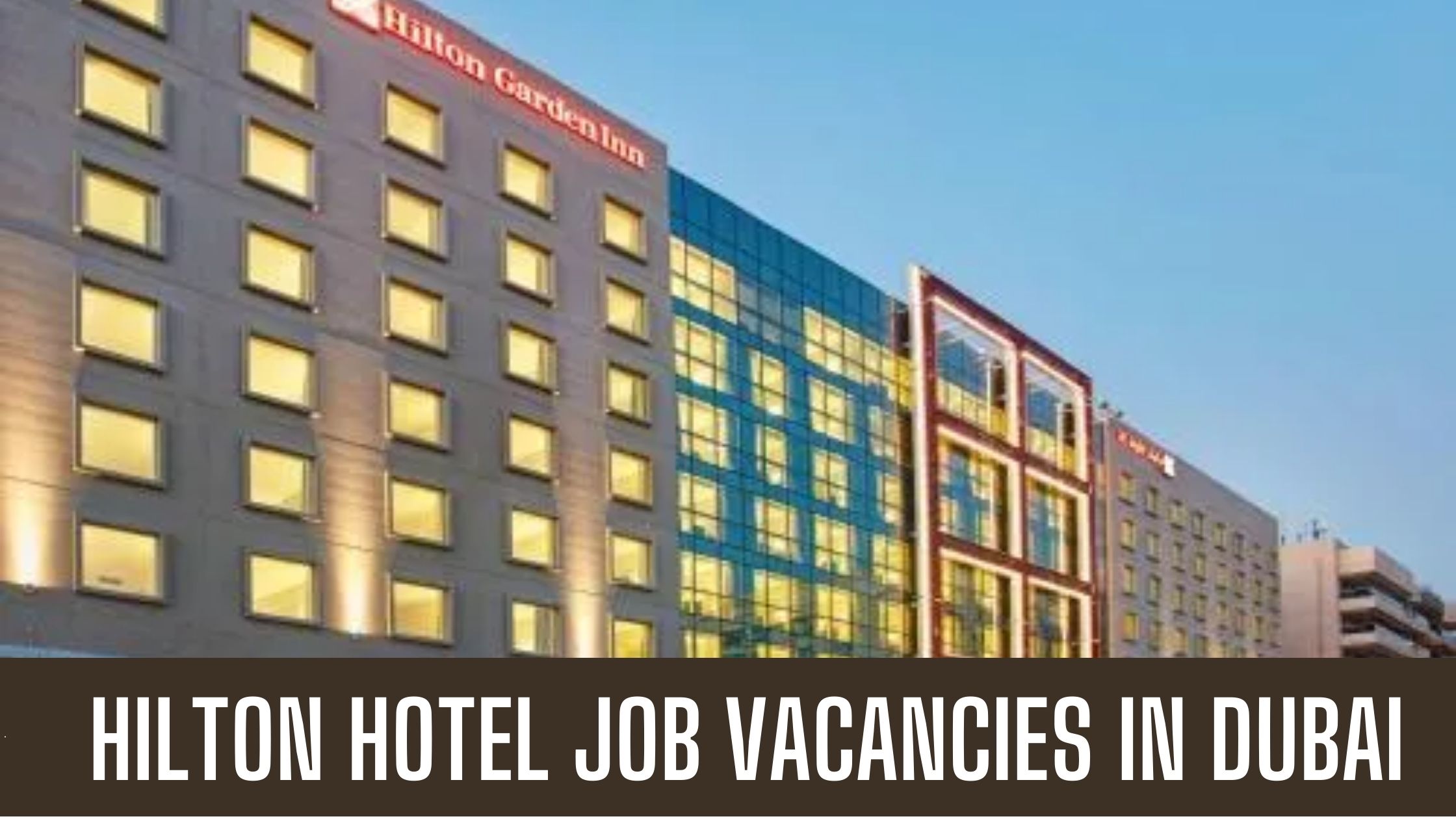 Hilton Hotel Job 2023 UAE Multiple Job Vacancies Apply Now