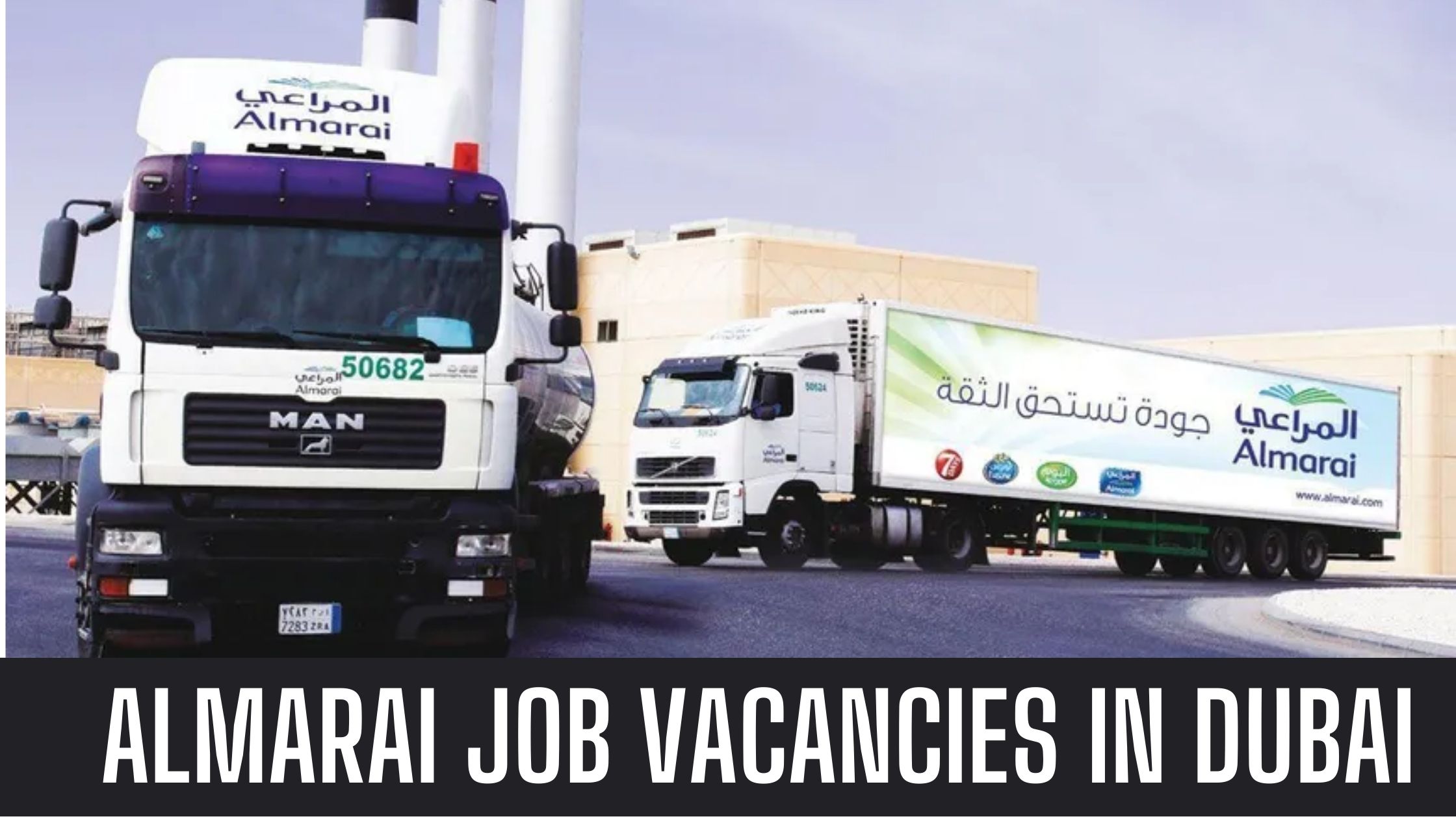 Almarai Jobs At Saudi Arabia, UAE, Kuwait 2023 Almarai Company