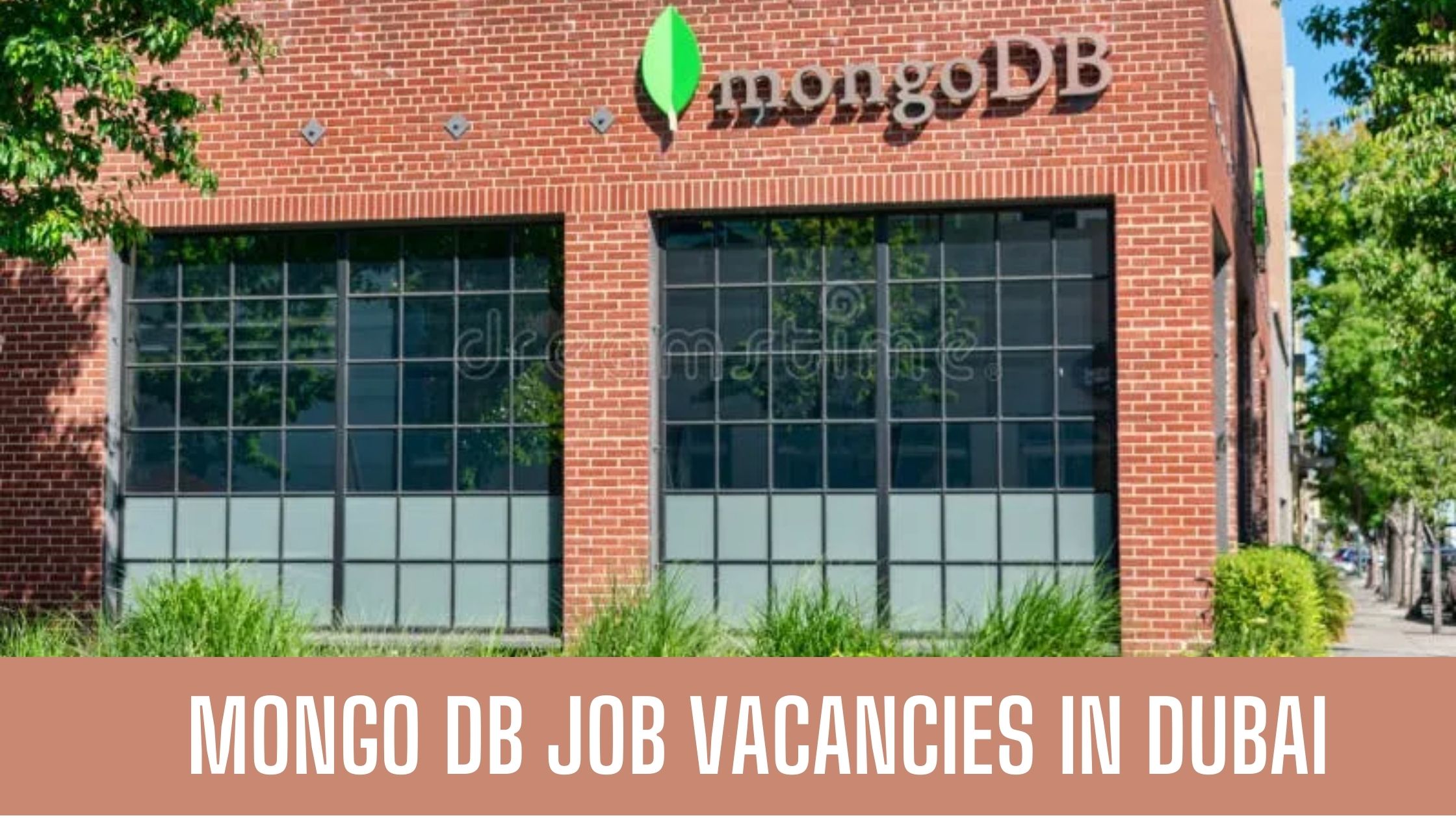 Mongodb Group Job Vacancies in Dubai Apply Now Latest Vacancies