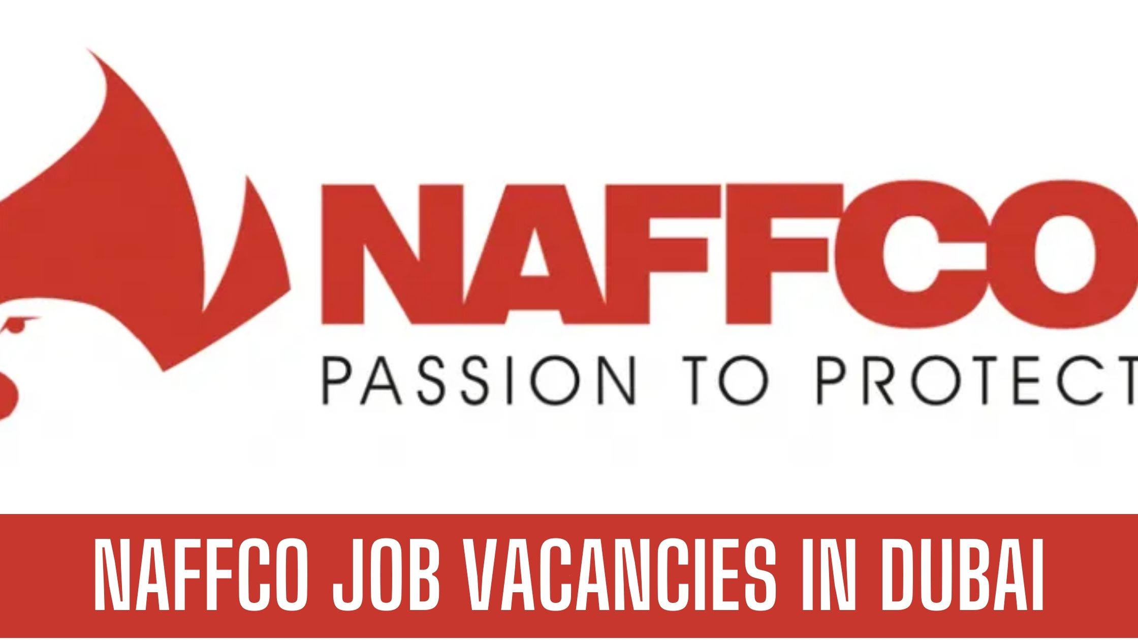 NAFFCO Announced Job Vacancies In Dubai 2023 Apply Now Latest Vacancies