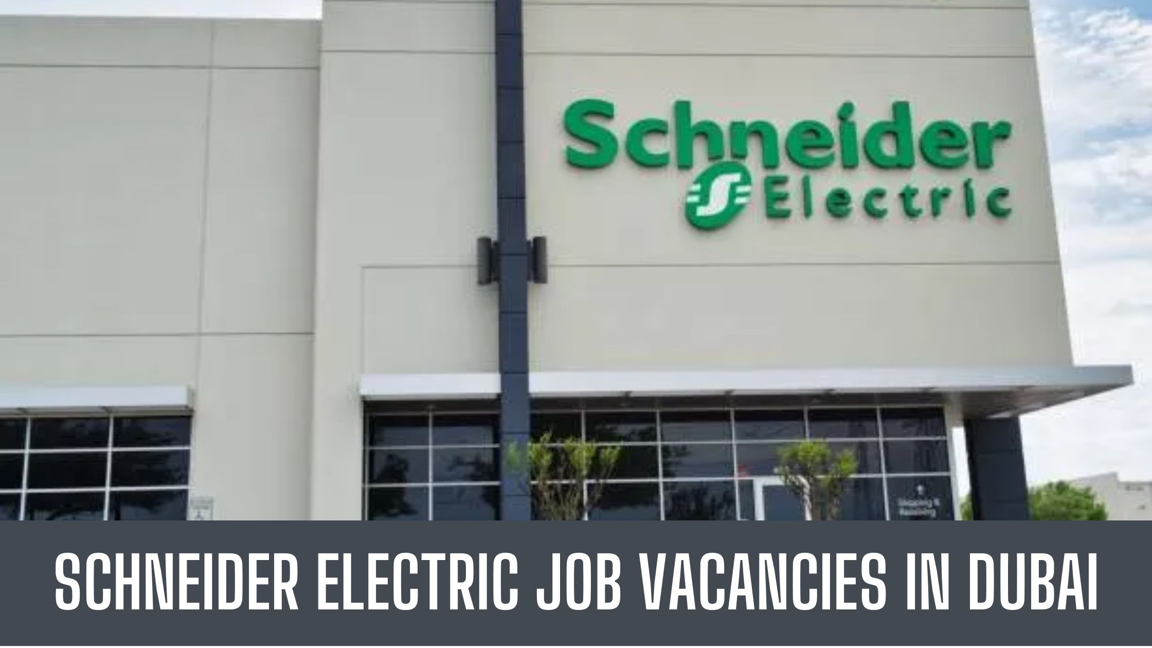 Schneider Electric Jobs In Dubai Announced Job Vacancies