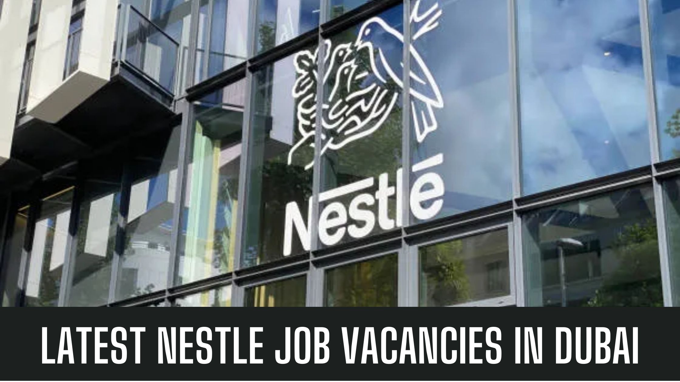 Nestle Jobs 2023 UAE Latest Job Vacancies in Dubai