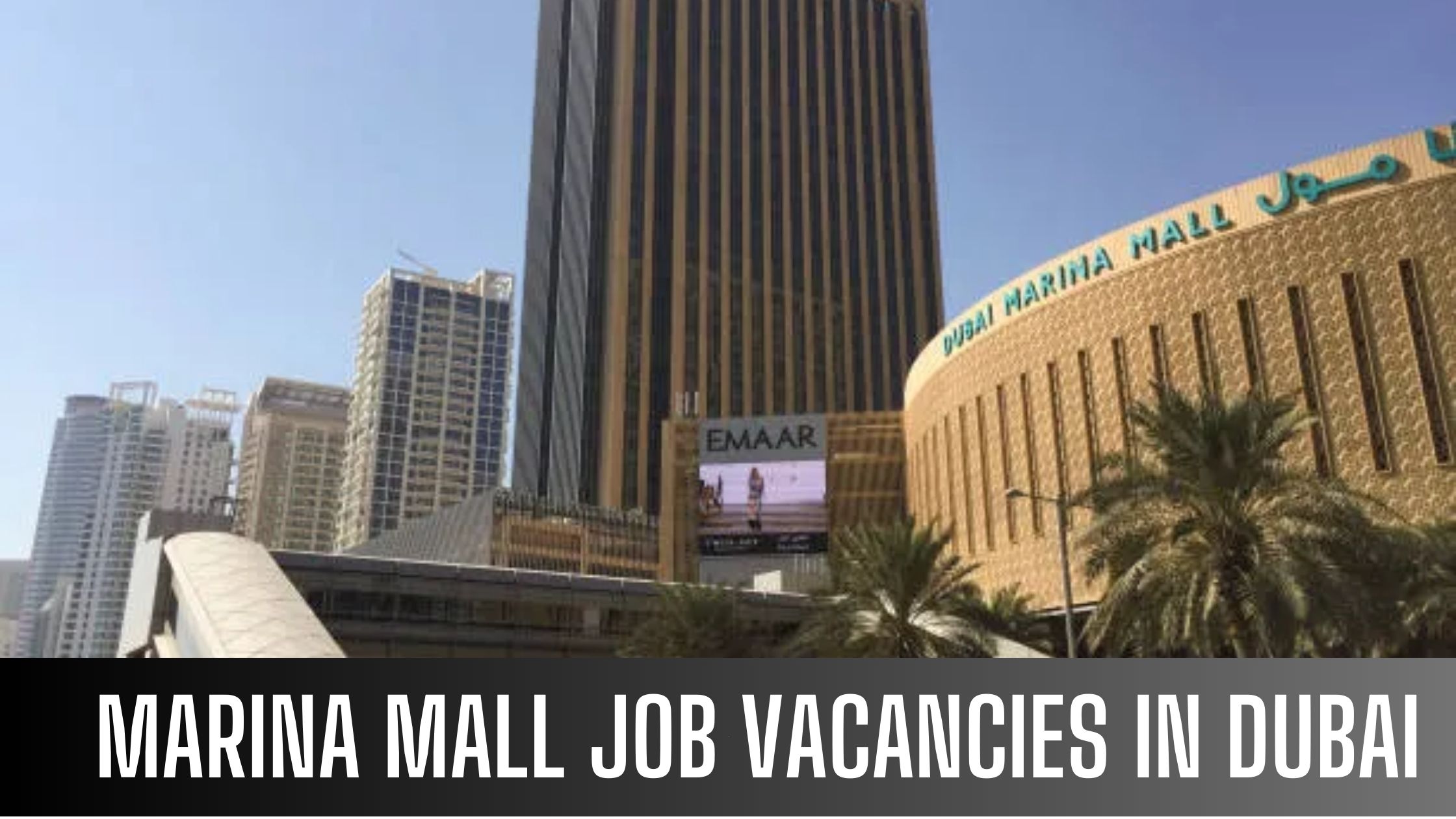 Marina Mall Announced Job Vacancy in Dubai Good Salary