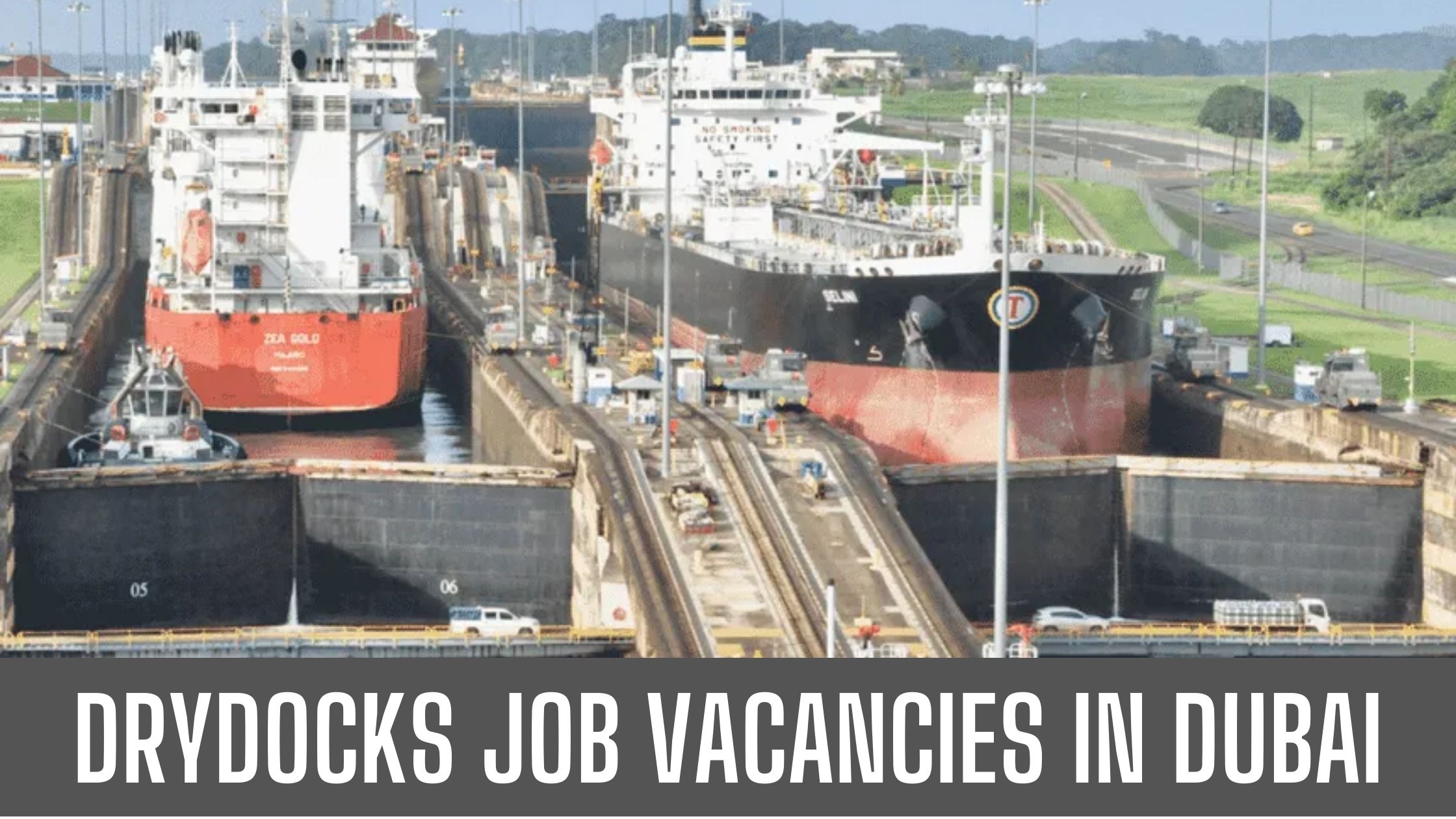 Drydocks World Announced Job Vacancies In Dubai