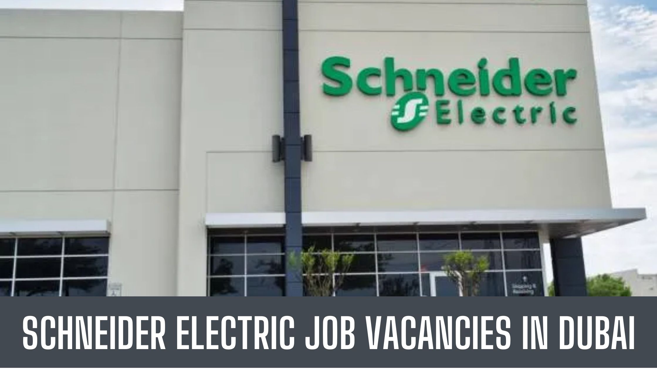 Schneider Electric Jobs In Dubai Announced Job Vacancies