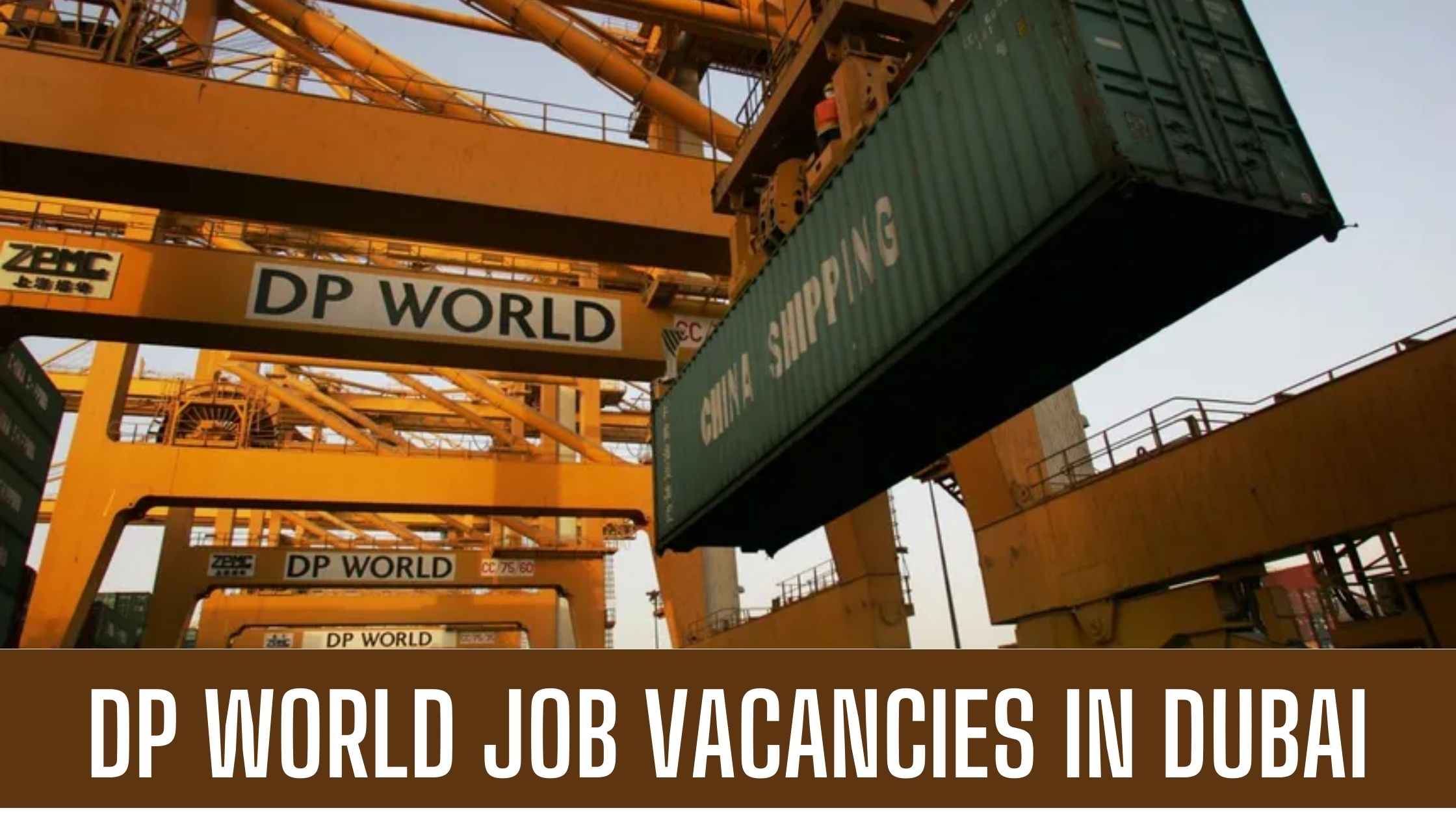 DP World Jobs in Dubai Multiple Government Job Vacancies Apply Now