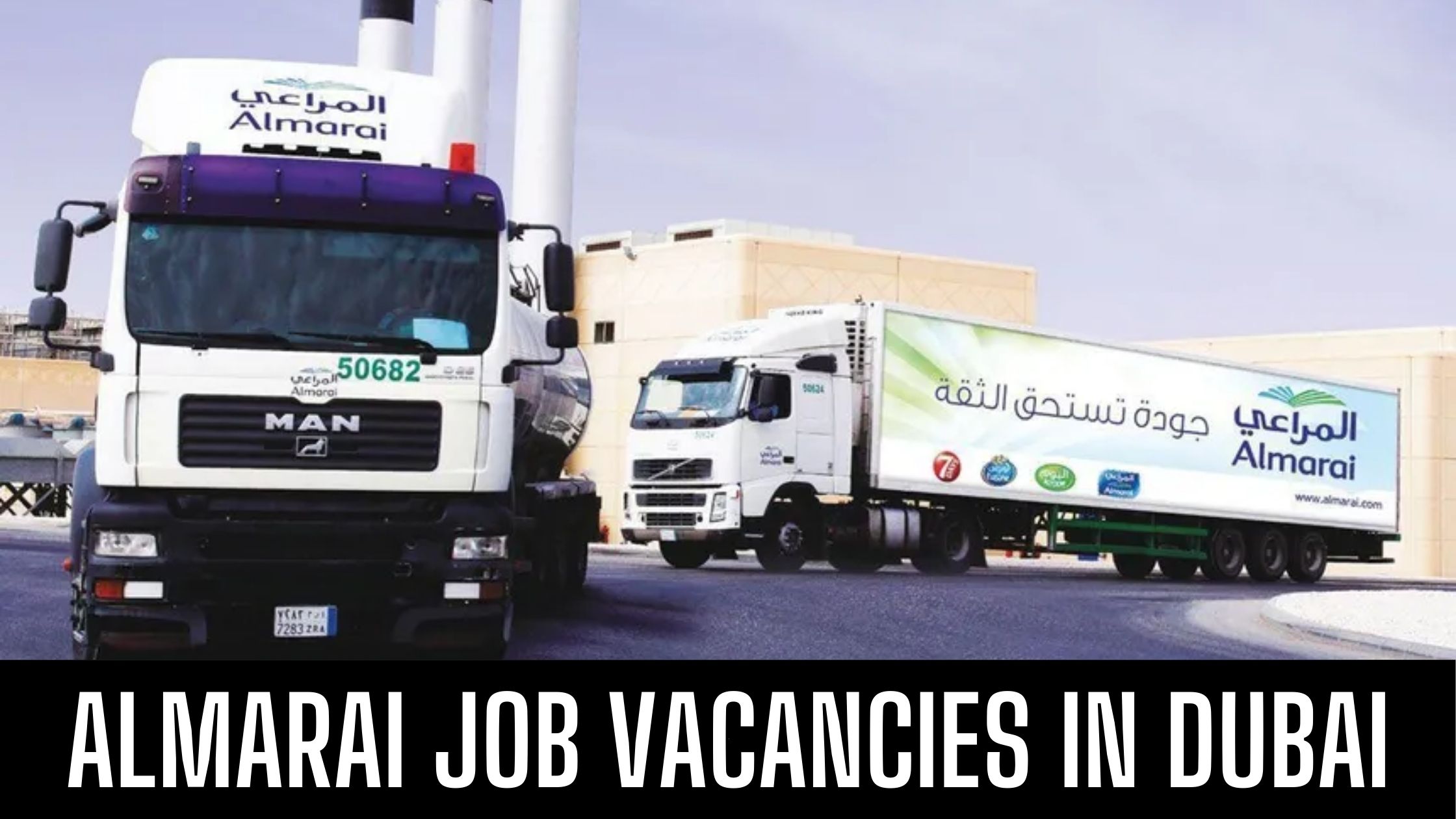 Almarai Recruiting Jobs Across UAE & Saudi Arabia Free Visa Apply Now