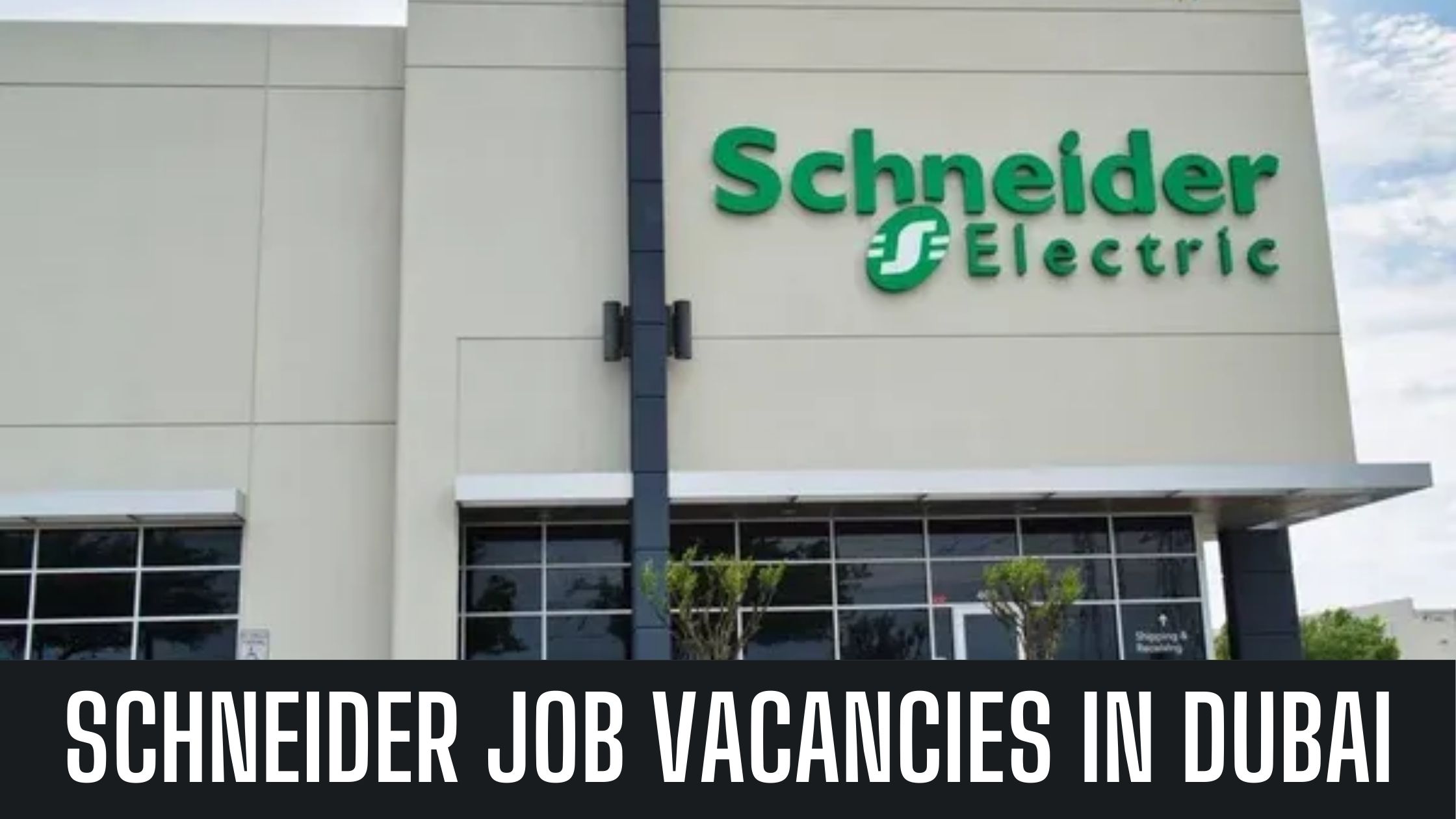 Schneider Electric Jobs In Dubai Announced Job Vacancies Apply Now