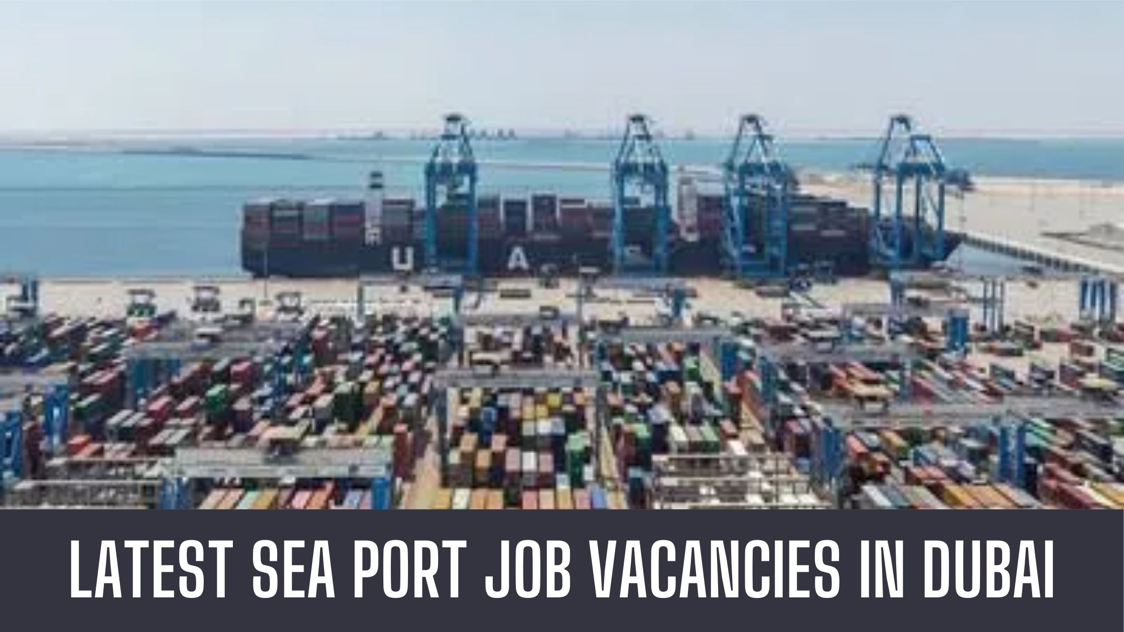 Abu Dhabi Port Jobs 2024 Sea Port Jobs in Abu Dhabi UAE Good Salary Apply Now