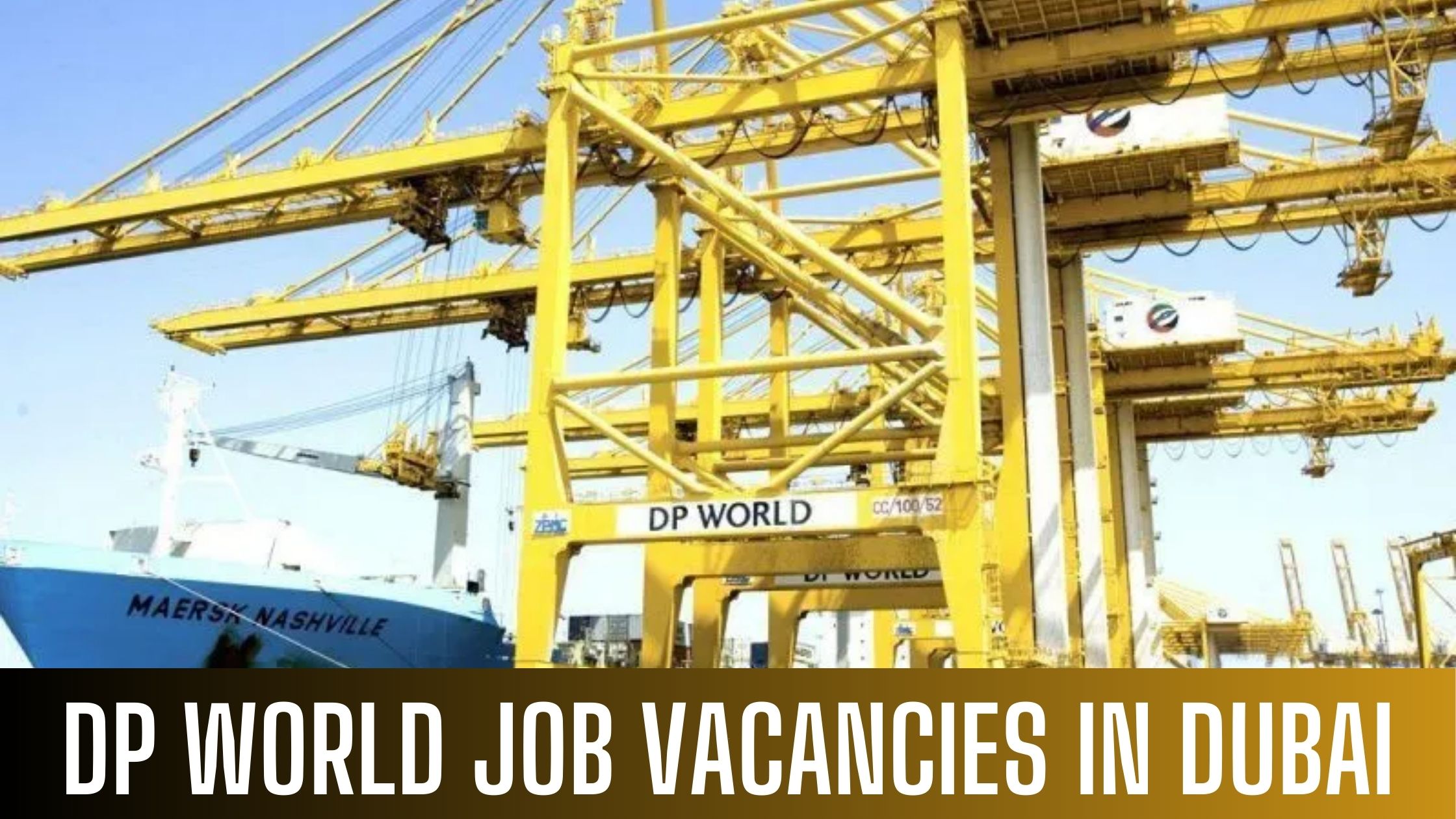 DP World Jobs 2024 in Dubai Multiple Government Job Vacancies Apply Now