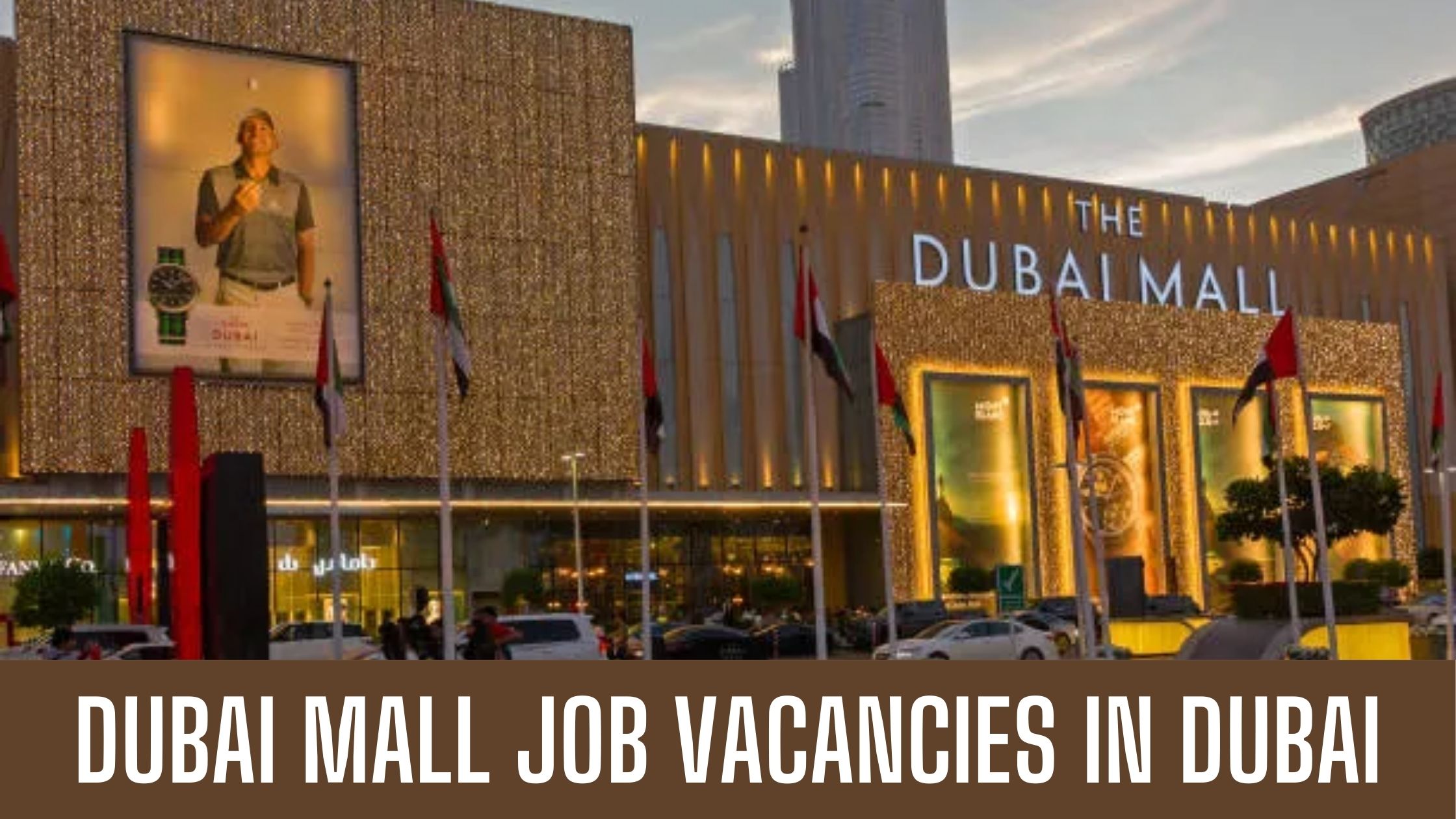 Dubai Mall Announced Jobs in Dubai Latest Updates Good Salary and Free Visa