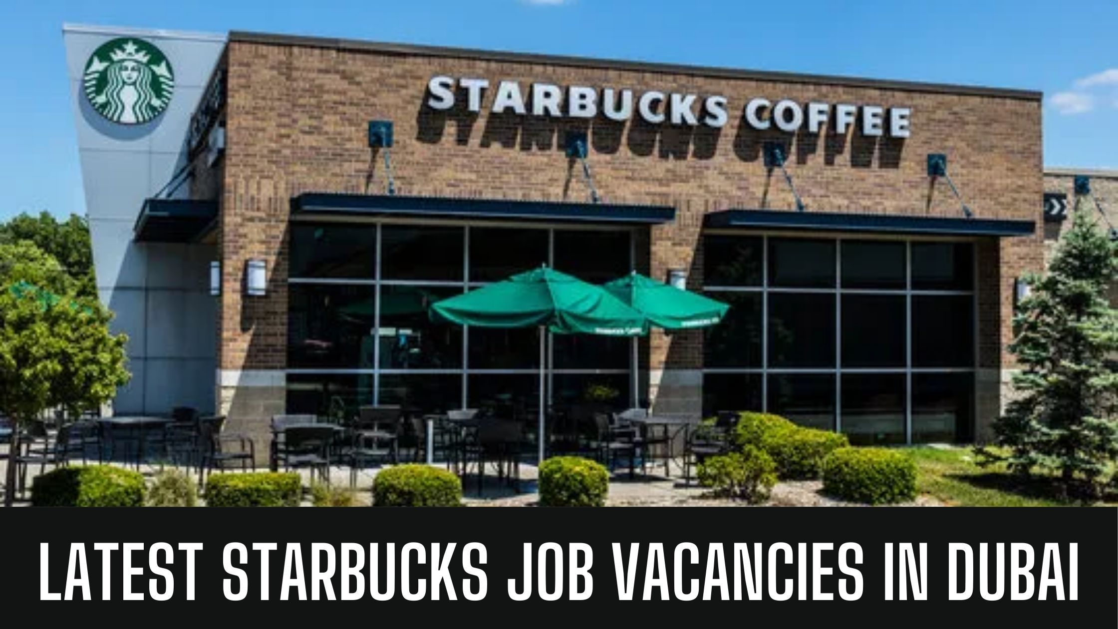 Starbucks Jobs 2024 UAE-KSA-Egypt-Qatar Free Visa