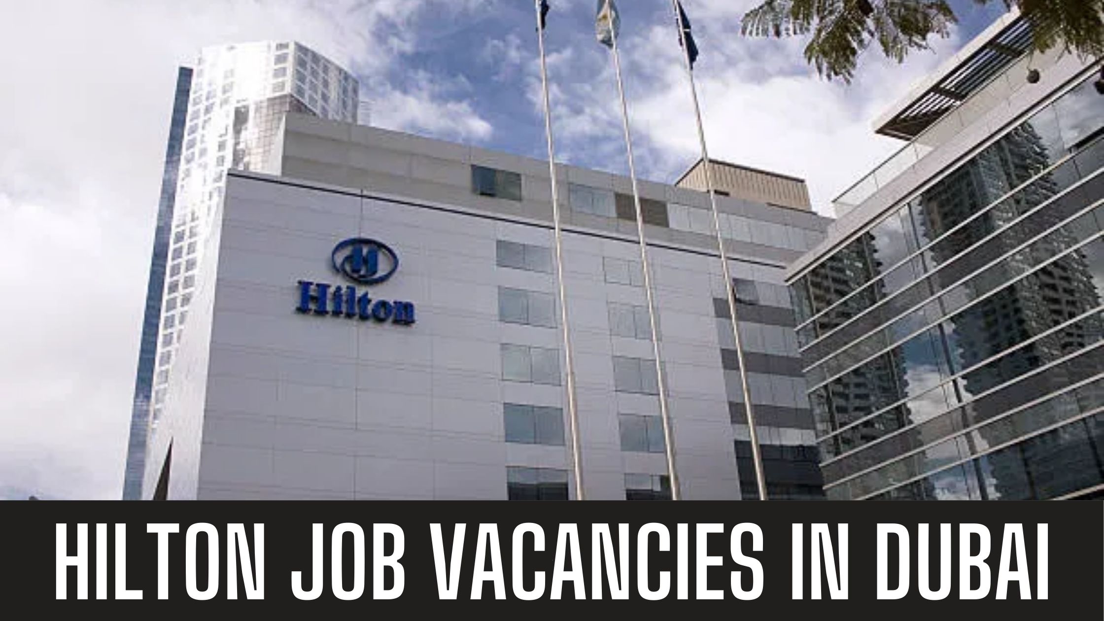 Hilton Hotel Jobs 2024 UAE-KSA Multiple Job Vacancies Apply Now