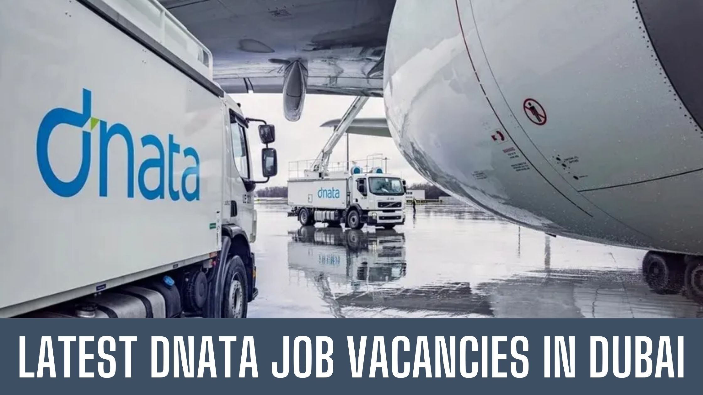 Dnata Jobs in Dubai Dubai National Air Transport Association Good Salary Apply Now