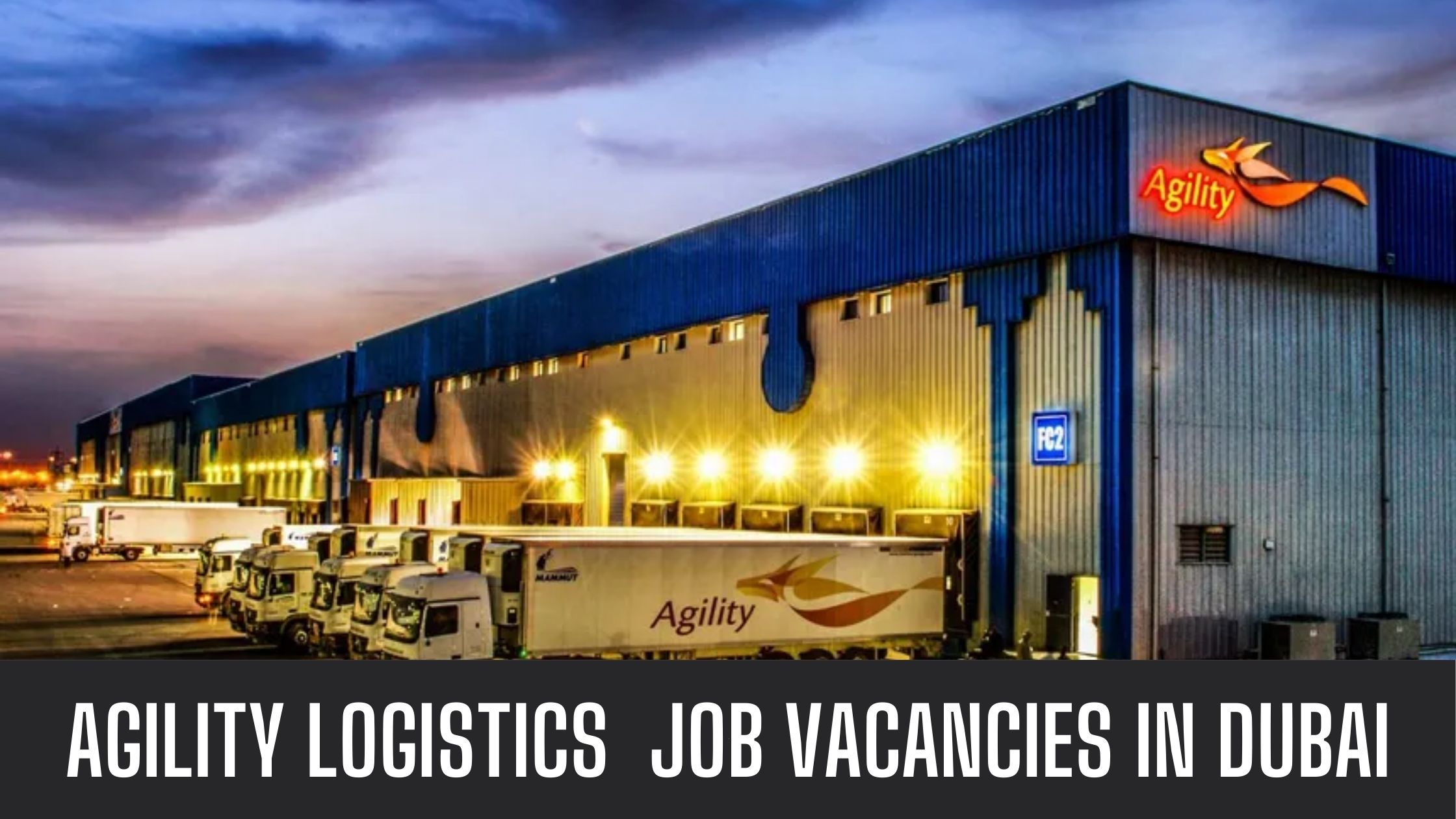 Agility Jobs 2024 Announced Logistics Job Vacancies In Various Locations Apply Now