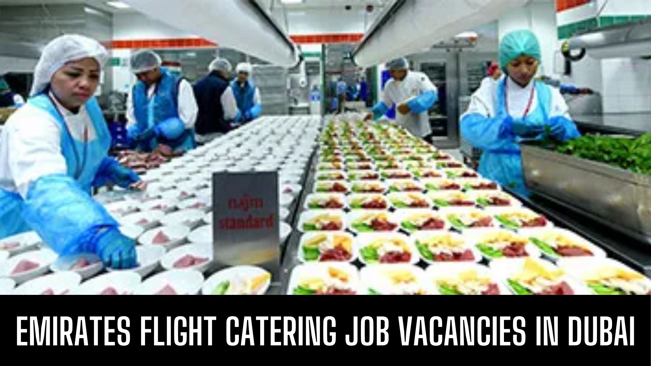 Emirates Flight Catering Announced Jobs in Dubai