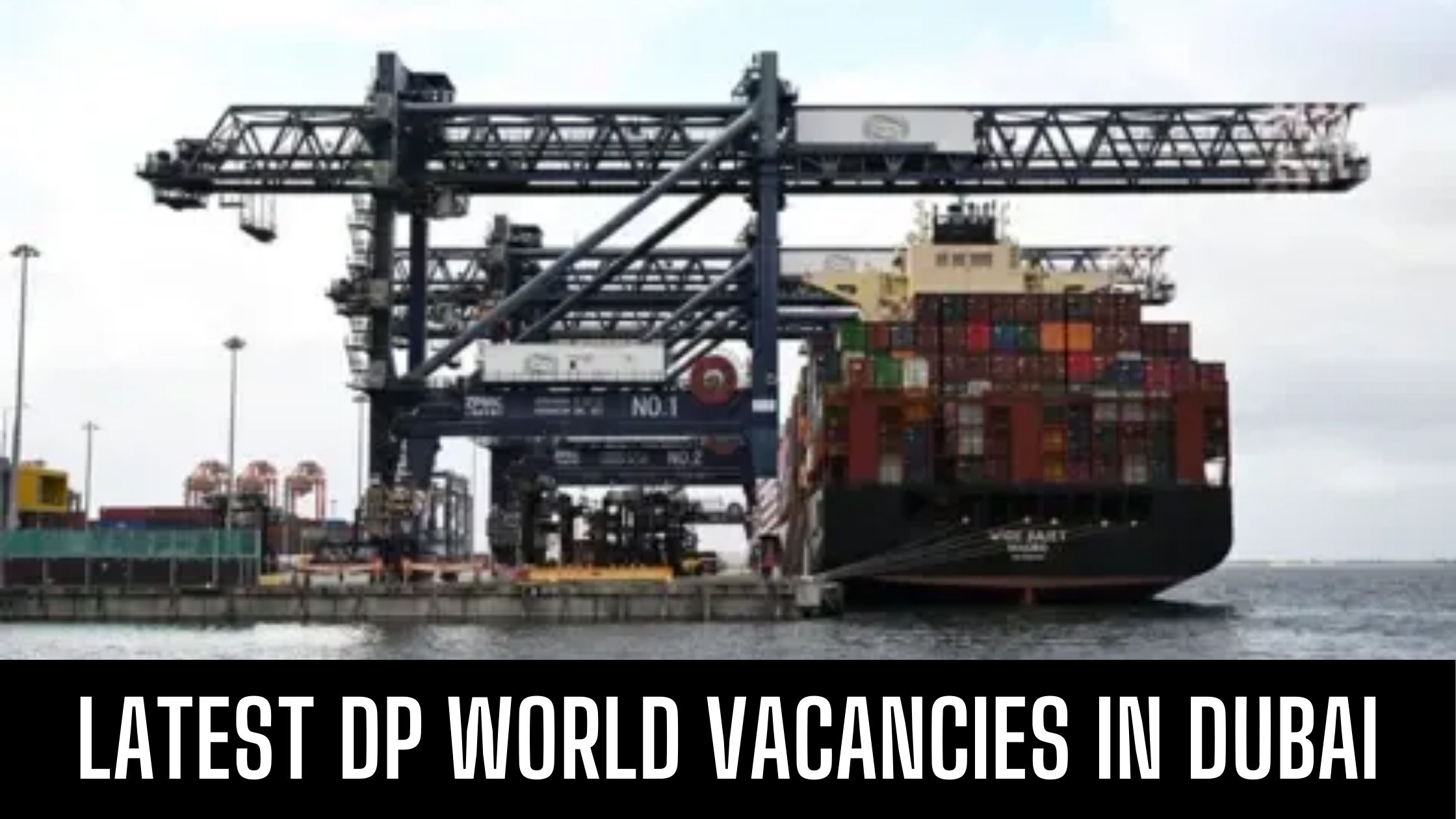 DP World Jobs 2024 in Dubai Latest Government Job Vacancies