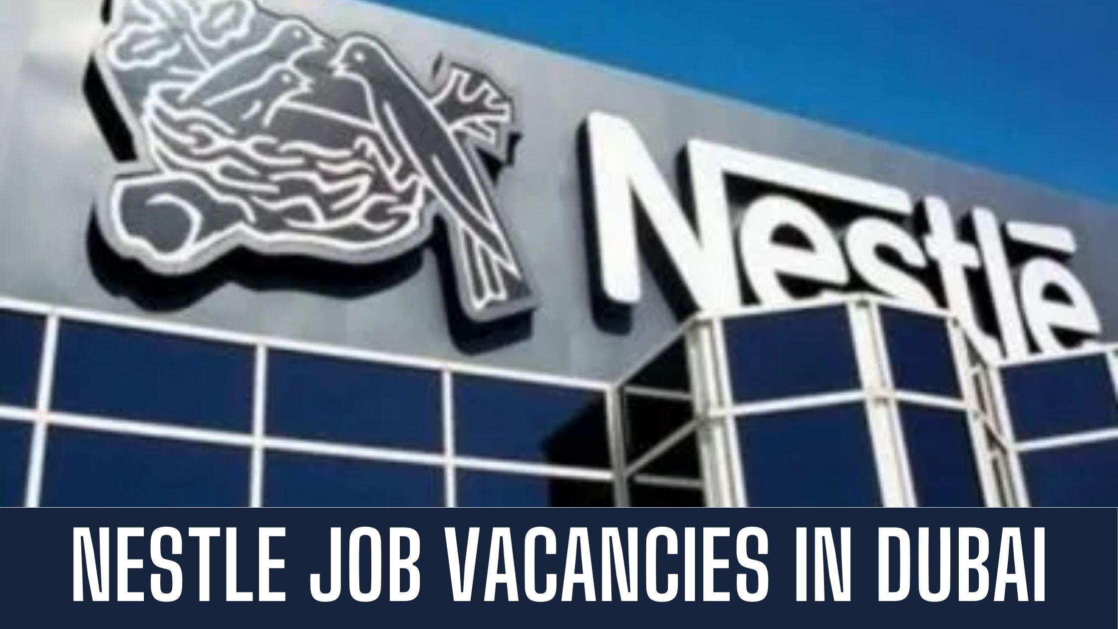 Nestle Jobs 2024 UAE Latest Job Vacancies in Dubai Apply Now