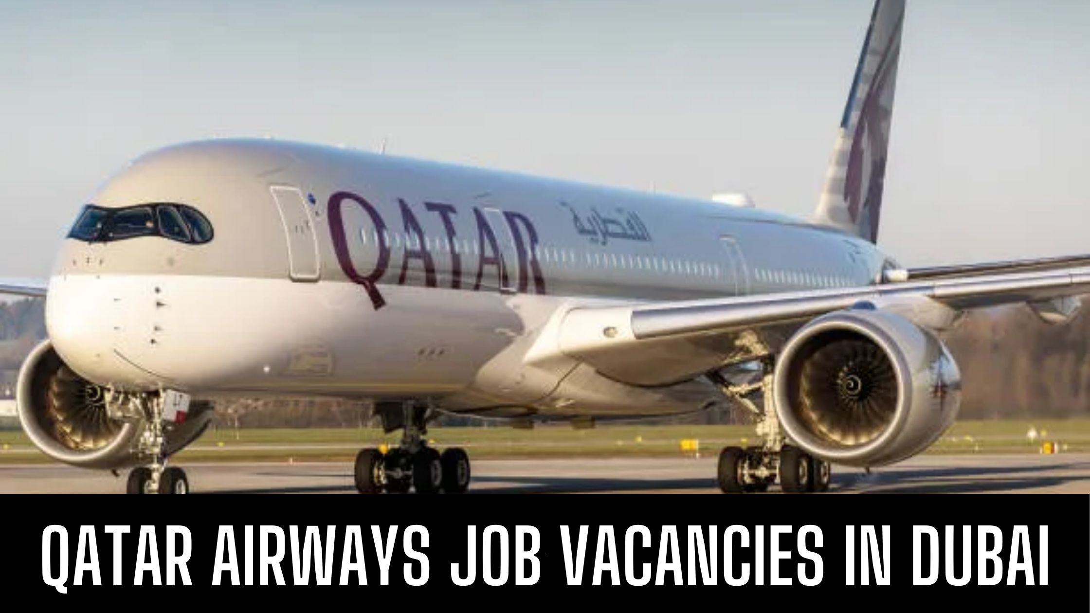 Qatar Airways Jobs 2024 Latest Vacancies Apply Now Free Visa