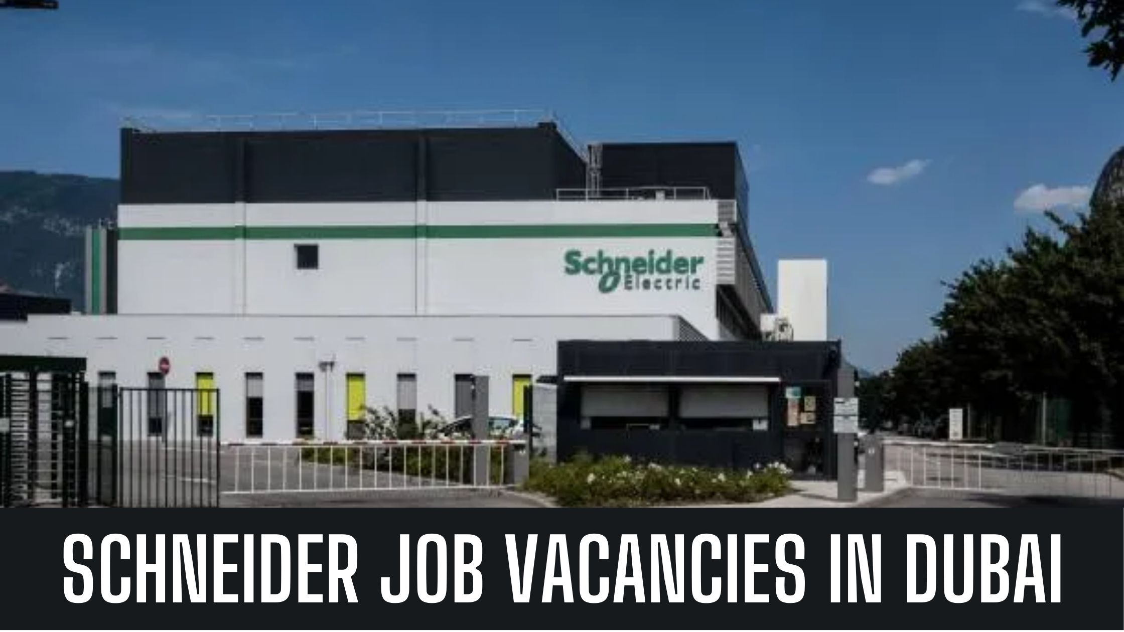 Schneider Electric Jobs In Dubai Announced Job Vacancies Apply Now