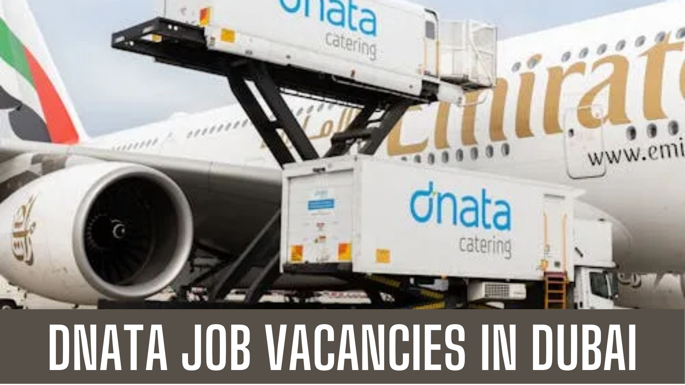 Dnata Jobs 2024 Dubai National Air Transport Association Apply Now