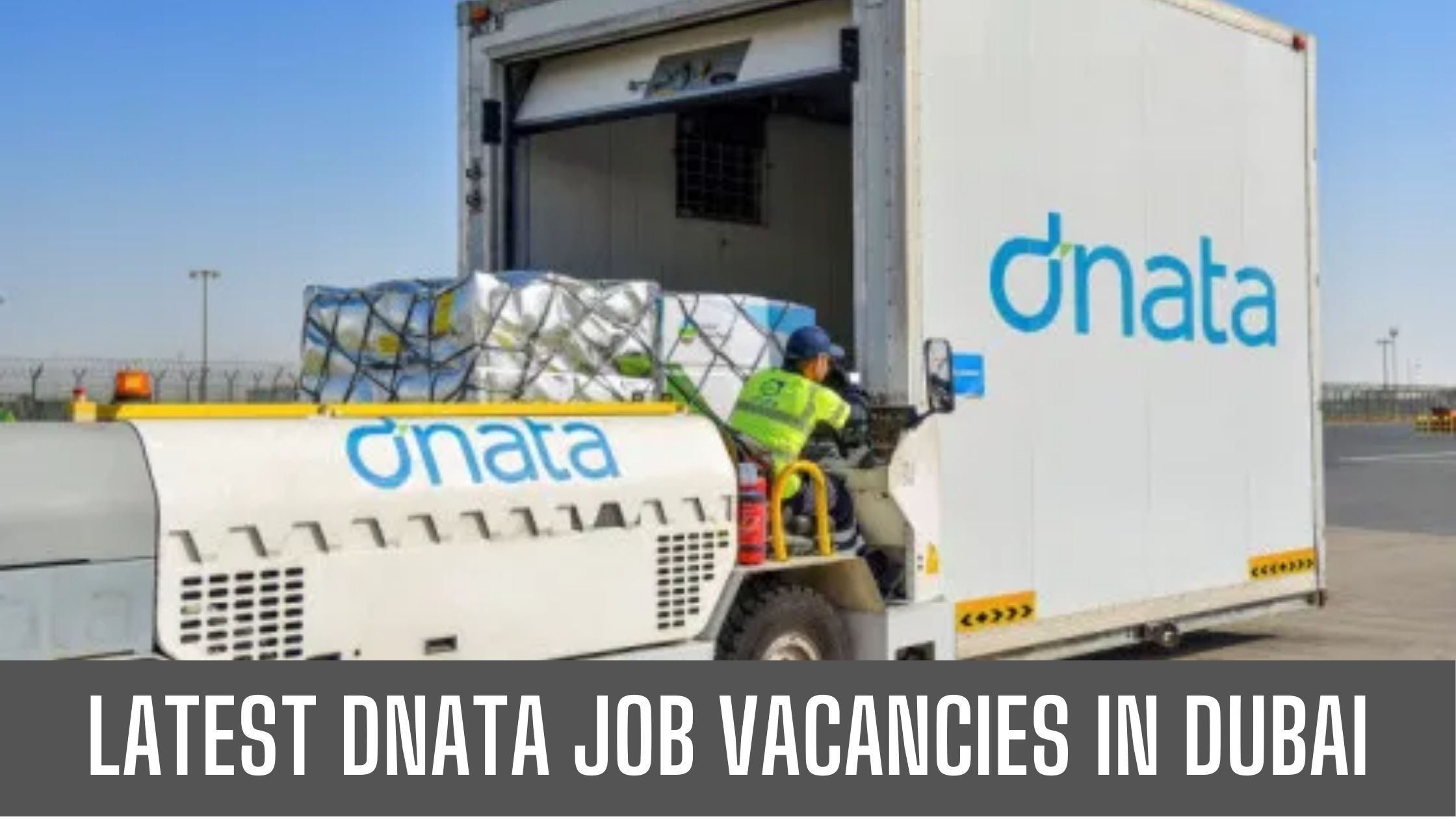 Dnata Jobs 2024 Dubai National Air Transport Association Apply Now