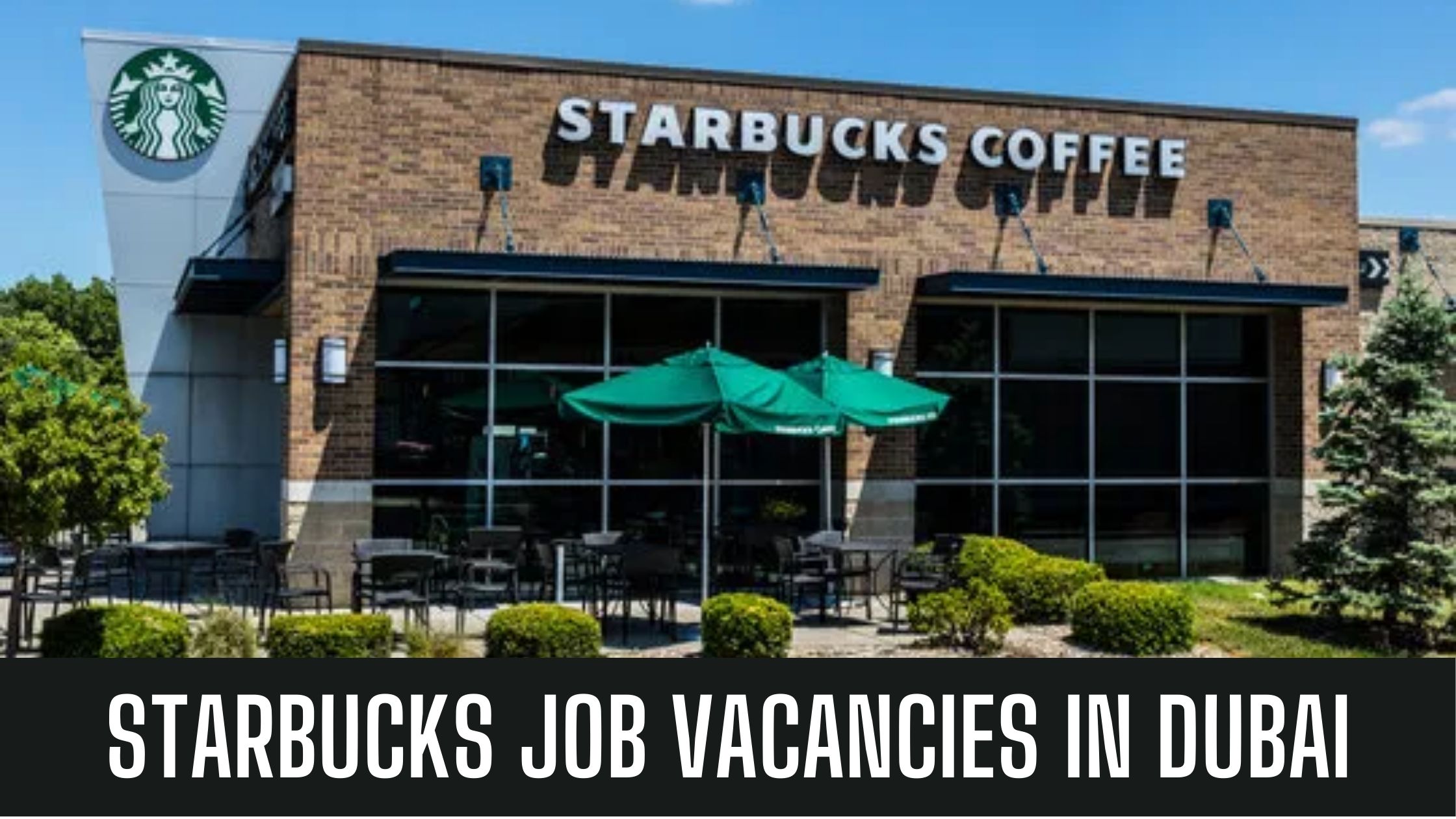 Starbucks Jobs 2024 UAE-KSA-Egypt-Qatar Apply Now