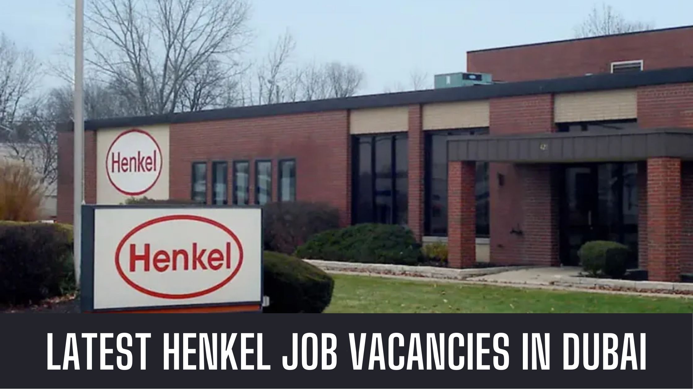 Henkel Jobs UAE 2024 Many Vacancies Apply Now