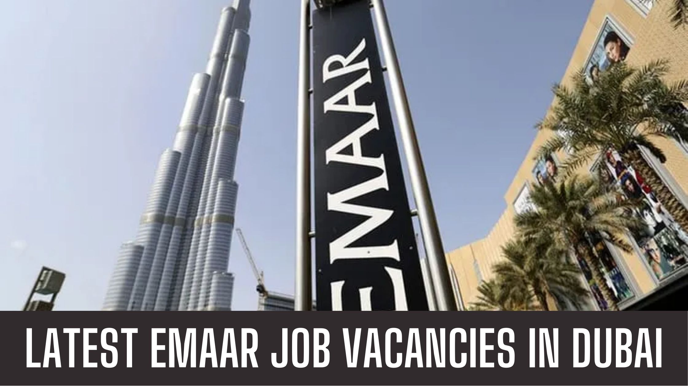 Emaar Jobs 2024 Latest Jobs in Dubai Announced Job Vacancies