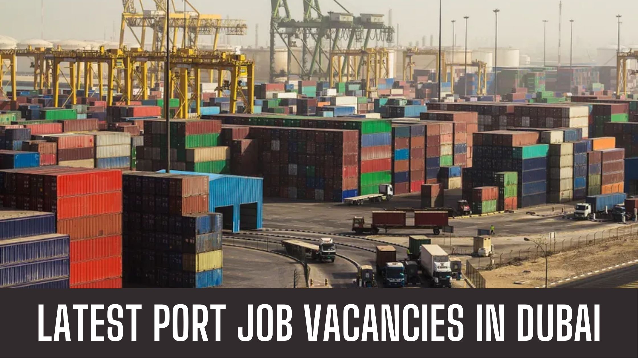 Abu Dhabi Port Jobs 2024 – Sea Port Jobs in Abu Dhabi UAE