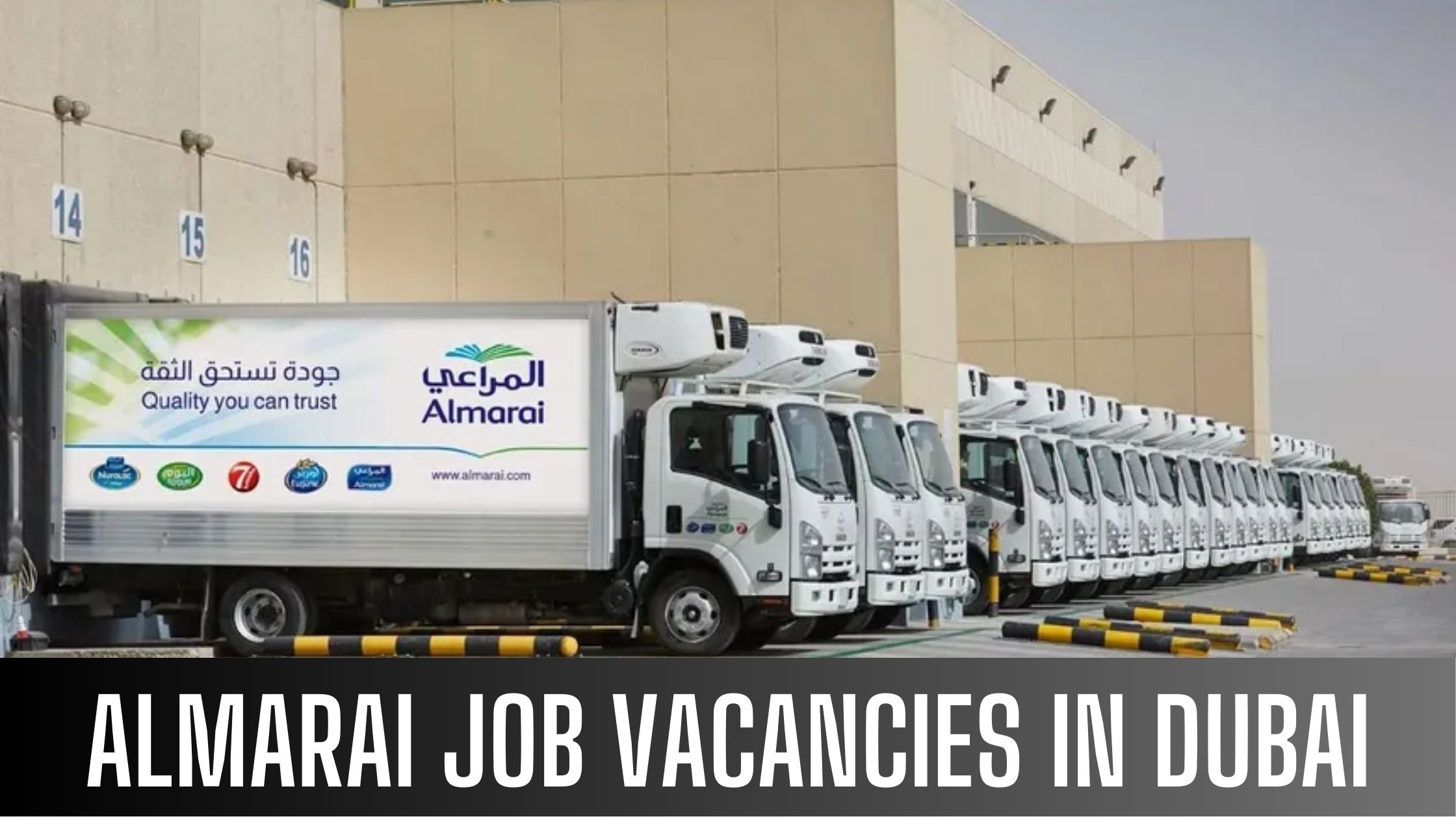 Almarai Recruiting Jobs Across UAE & Saudi Arabia Apply Now