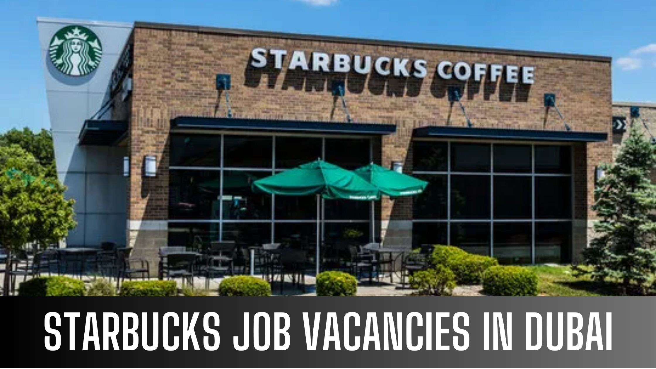 Starbucks Jobs 2024 UAE-KSA-Egypt-Qatar Apply Now