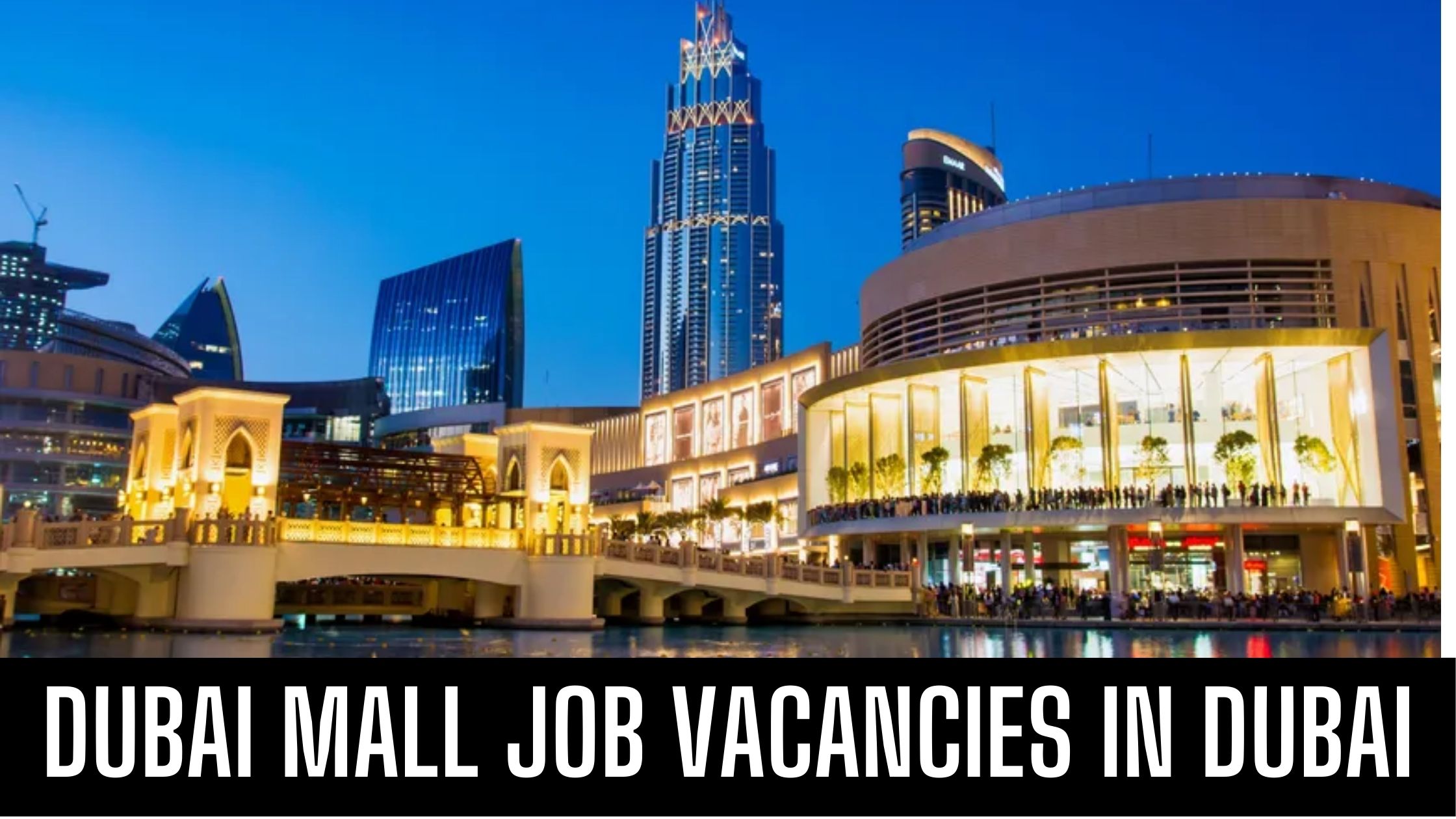 Marina Mall Announced Job Vacancy in Dubai Attractive Salary and Other Vacancies