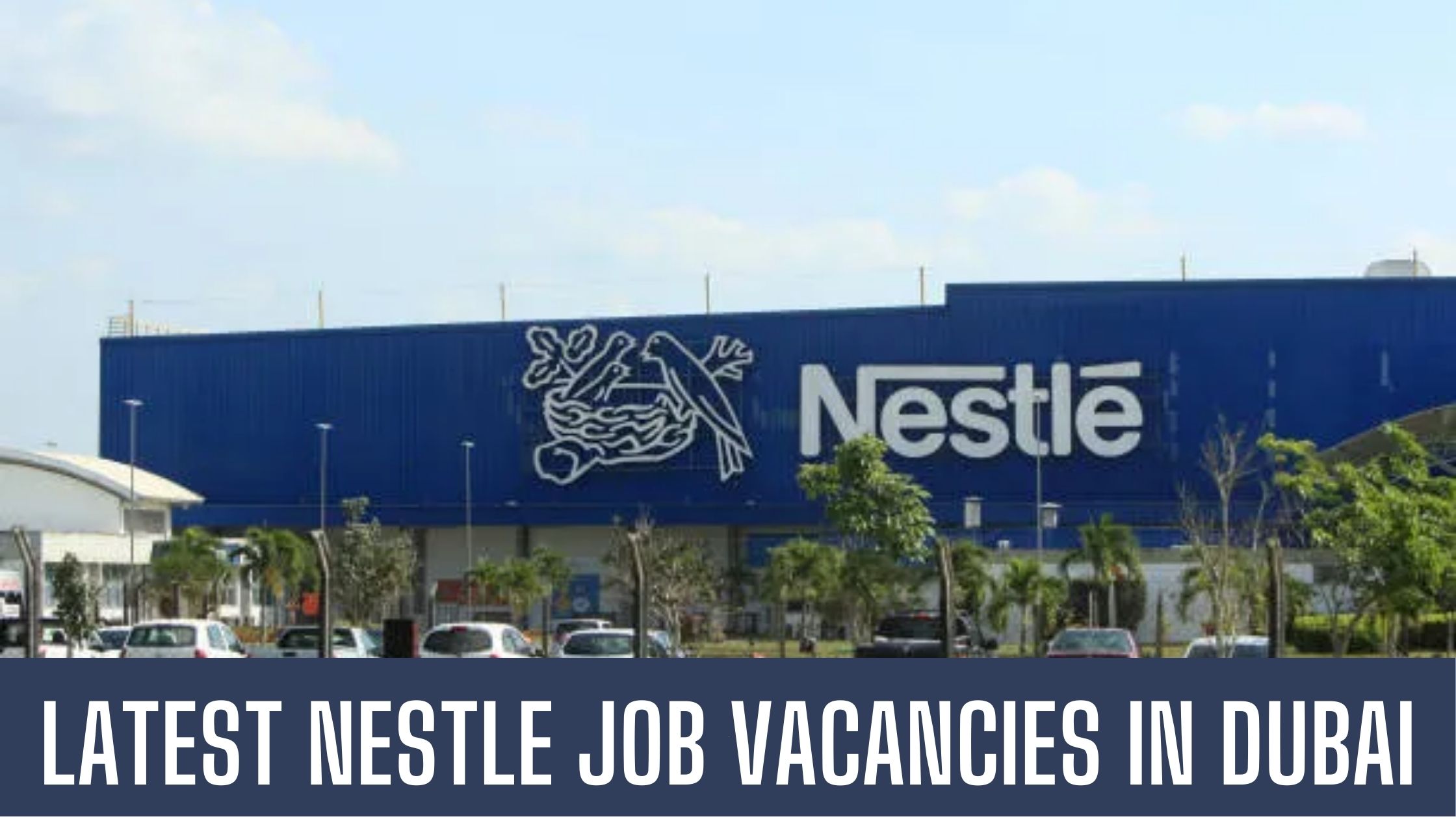 Nestle Jobs 2024 UAE Latest Vacancies in Dubai Apply Now