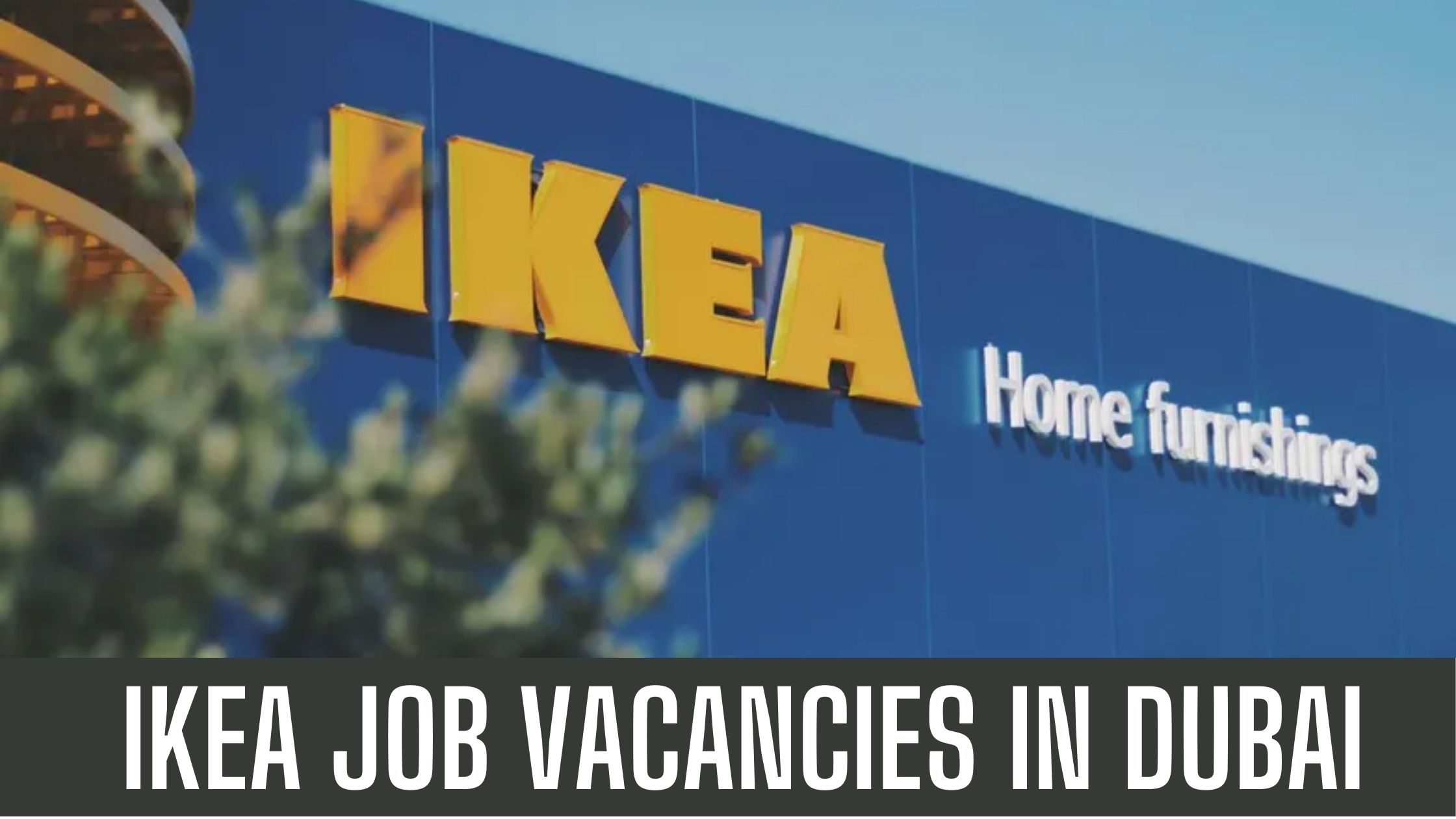 IKEA Jobs 2024 Dubai Abu Dhabi Job Vacancies Apply Now