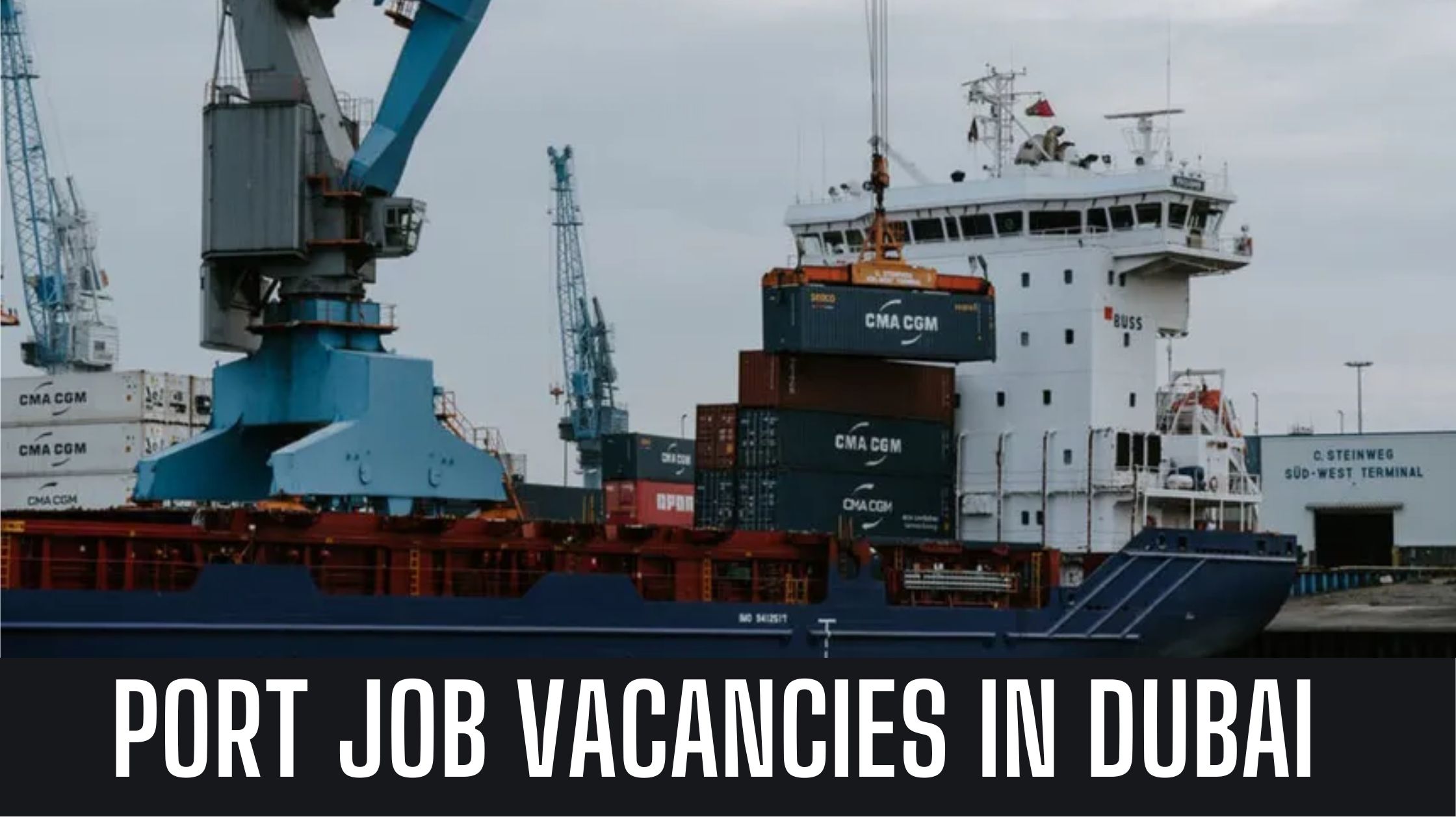 Abu Dhabi Port Jobs 2024 Sea Port Jobs in Abu Dhabi UAE Good Salary