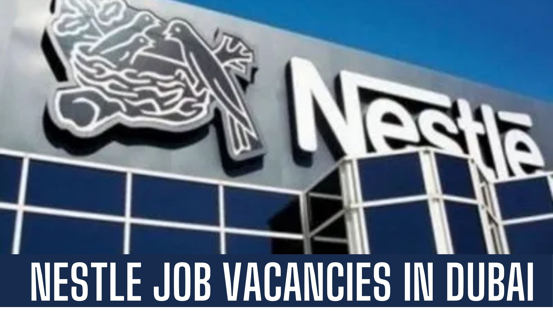 Nestle Job 2024 UAE Latest Job Vacancies in Dubai Apply Now