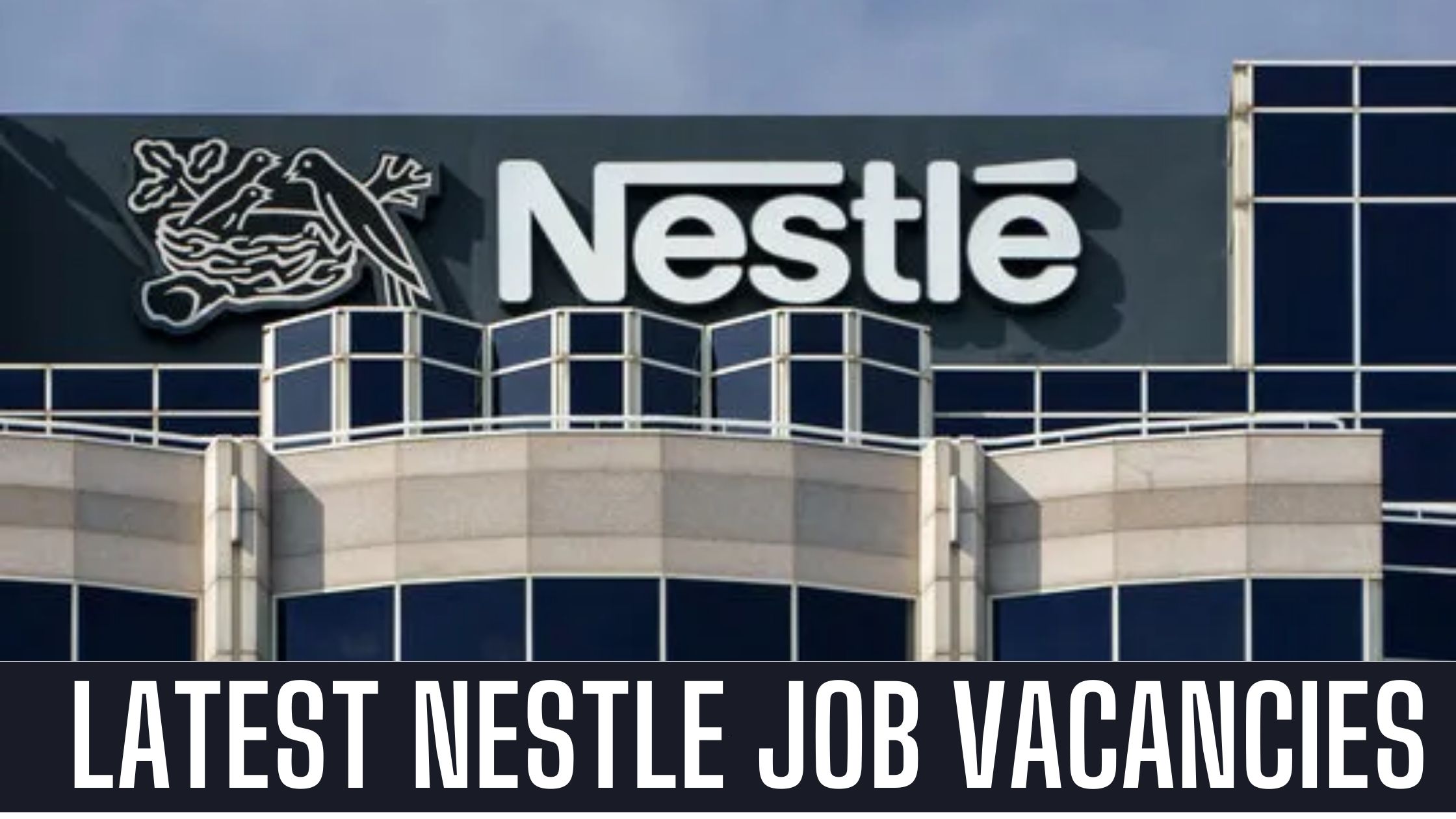 Nestle Jobs 2024 UAE Job Vacancies in Dubai Attractive Salary