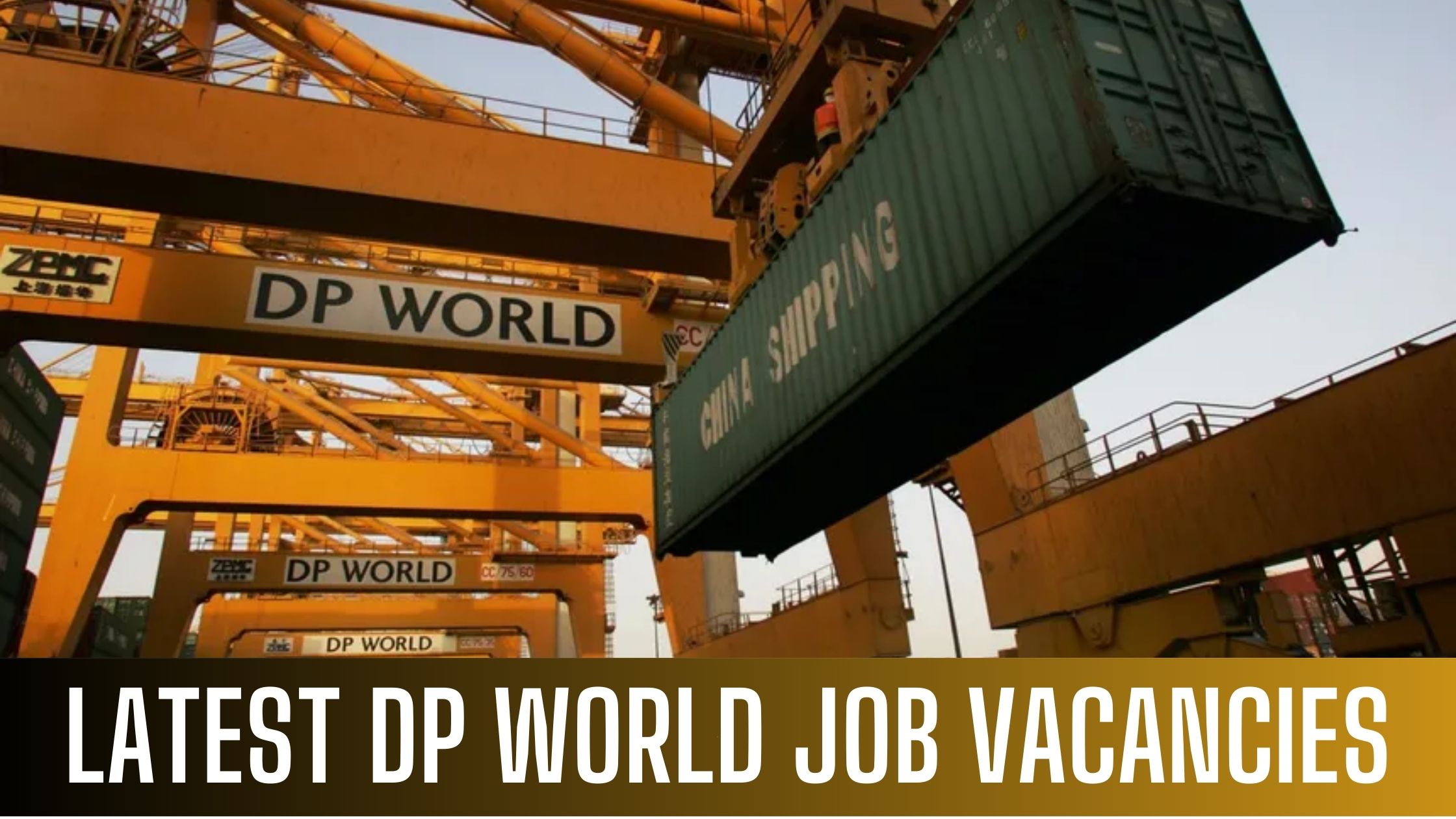 DP World Jobs 2024 in Dubai Multiple Government Job Vacancies