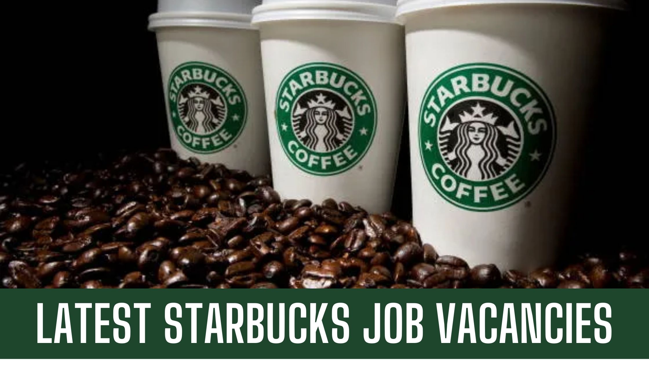 Starbucks Jobs 2024 UAE-KSA-Egypt-Qatar Latest Vacancies Apply Now