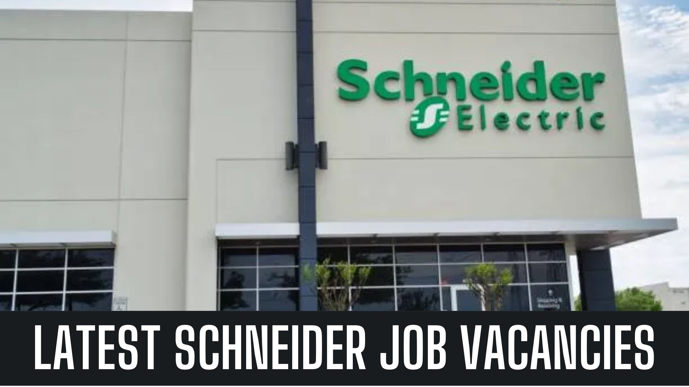 Schneider Electric Jobs In Dubai Announced Job Vacancies Apply Now