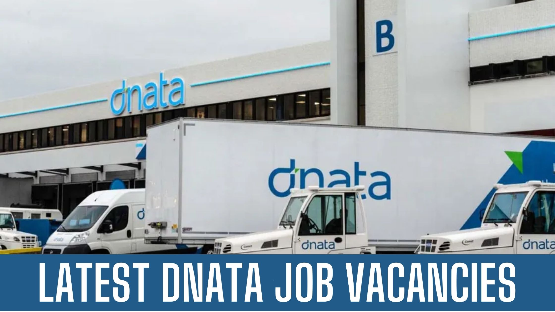 Dnata Jobs 2024 Dubai National Air Transport Association Good Salary Apply Now